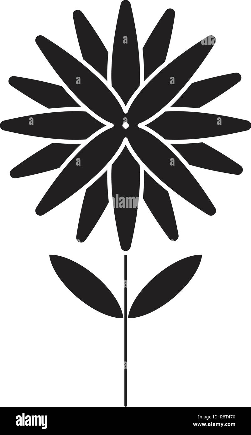 Aster schwarz Vektor Konzept Symbol. Aster flachbild Illustration, Zeichen Stock Vektor