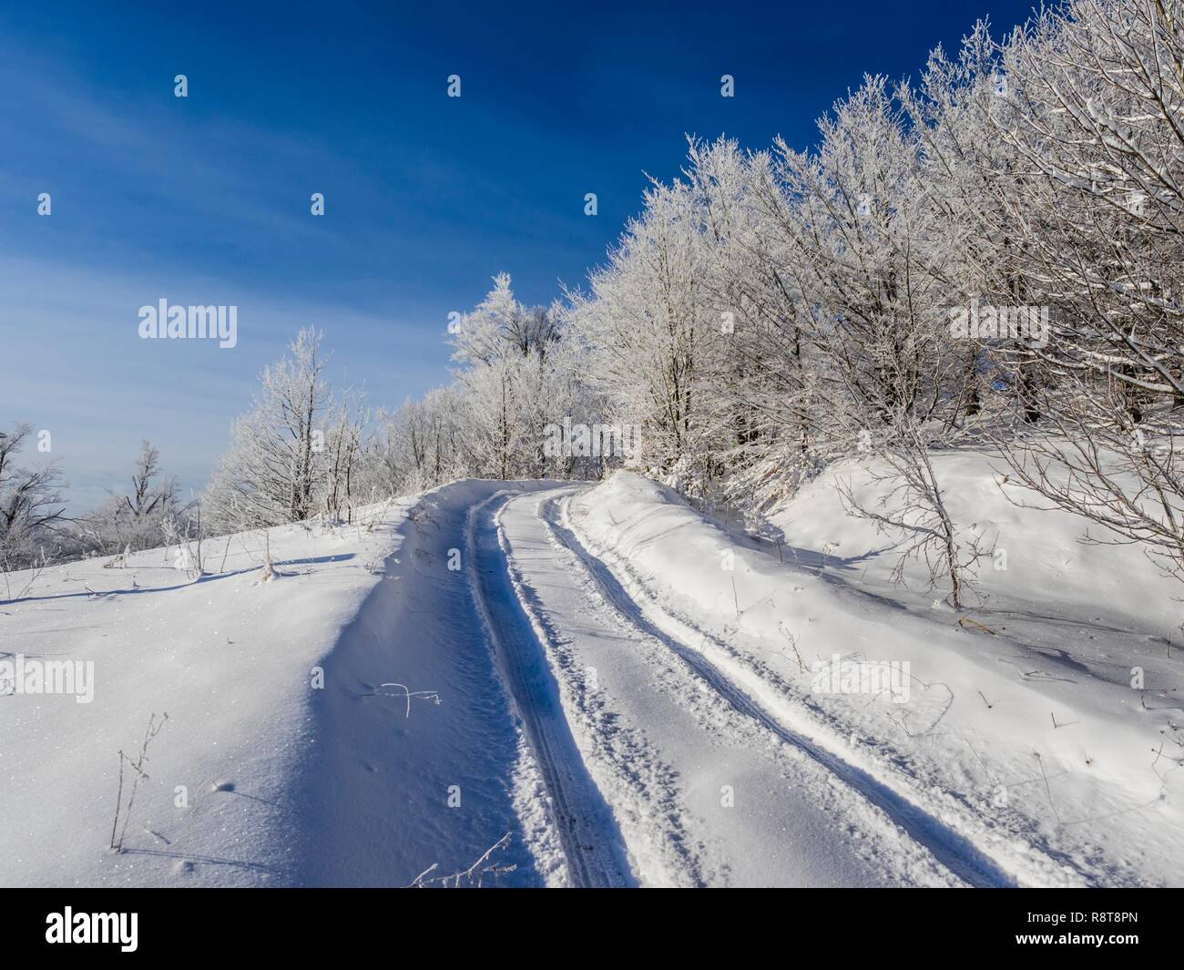 Winter schneebedeckte Land-Straße Landschaft Stockfoto