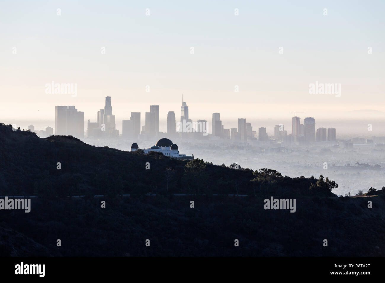 Nebeliger morgen auf die Skyline von Downtown Los Angeles von beliebten Griffith Park in der Nähe von Hollywood Kalifornien. Stockfoto