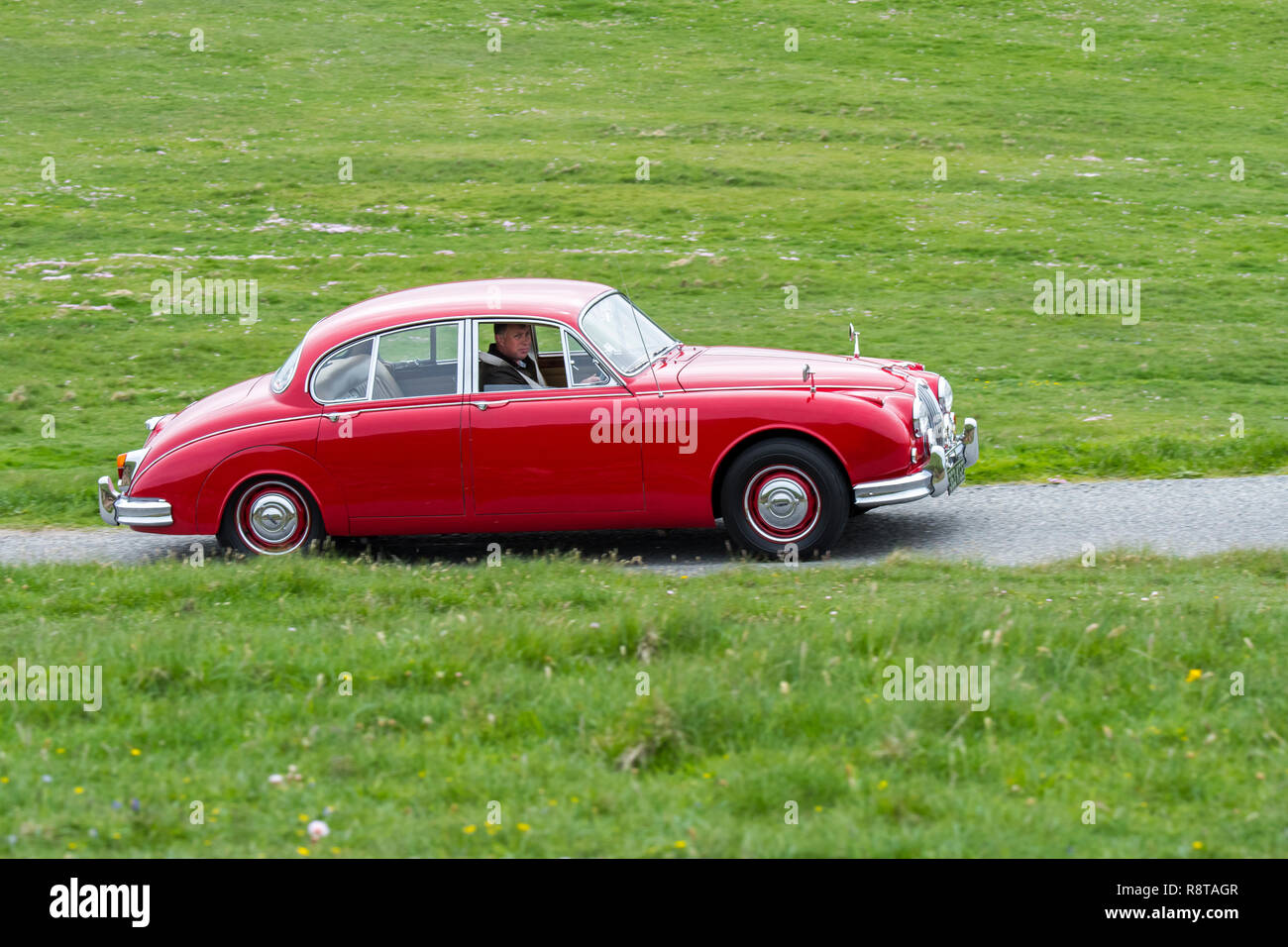 Rot 1962 Jaguar Mk 2/Jaguar Mk II 3,8 Liter klassische Sportwagen fahren entlang der Landstraße durch Wiese Stockfoto