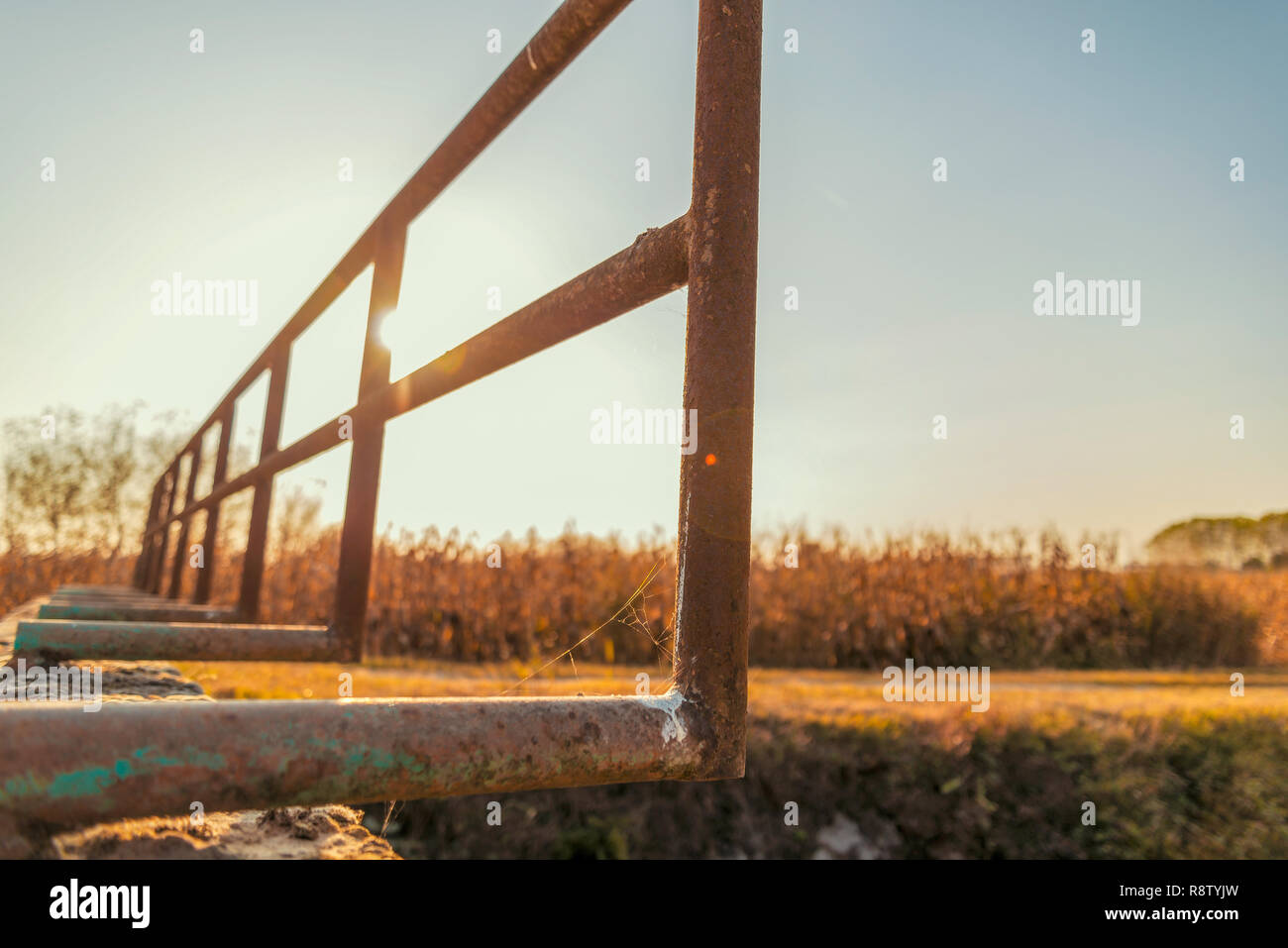 Brücke über einem bewässerungskanal der Lomellina bei Sonnenuntergang Stockfoto