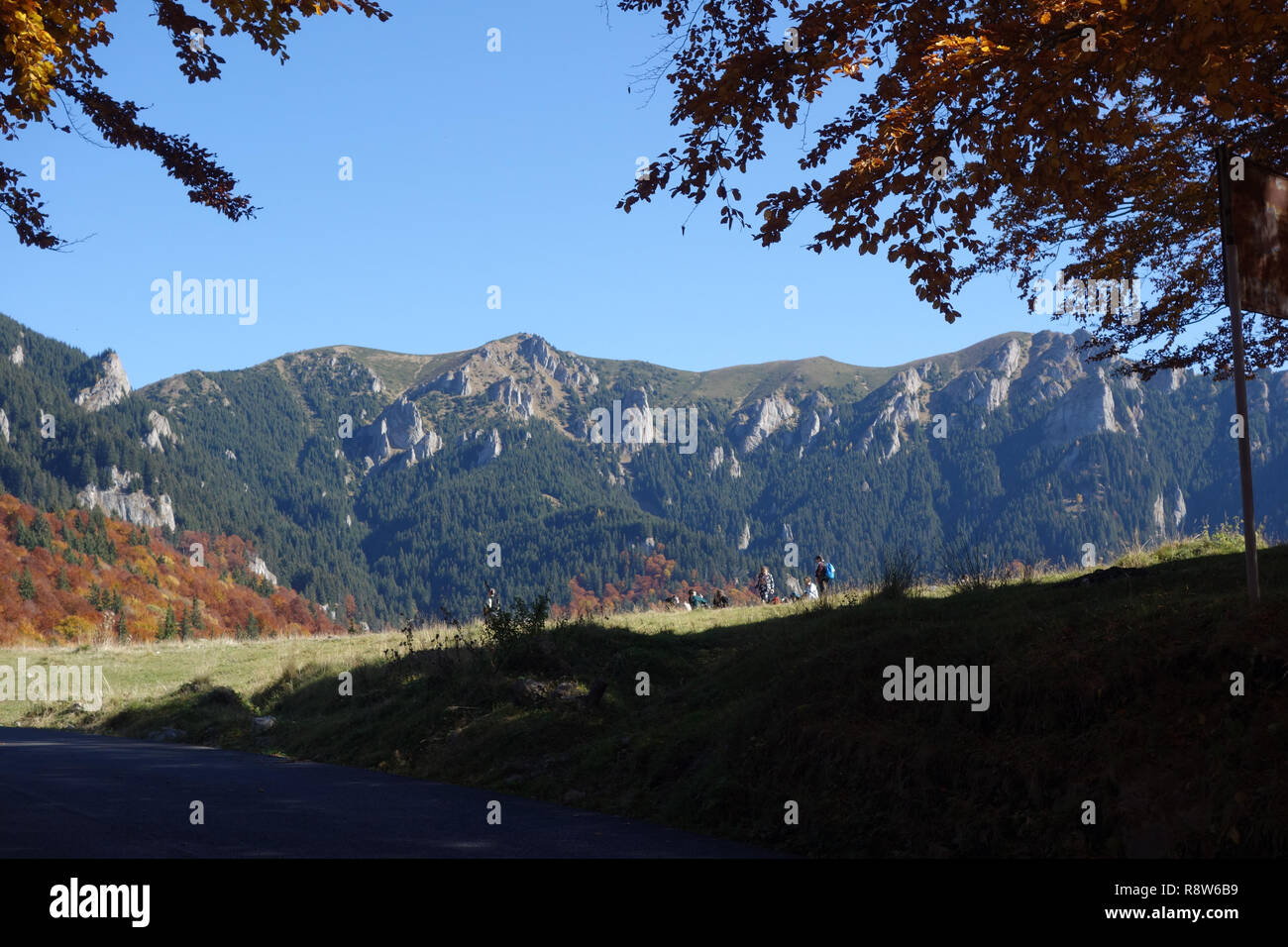 Die Buchenwälder warten auf die Touristen am Wochenende in diese malerische Orte zu verbringen. Stockfoto