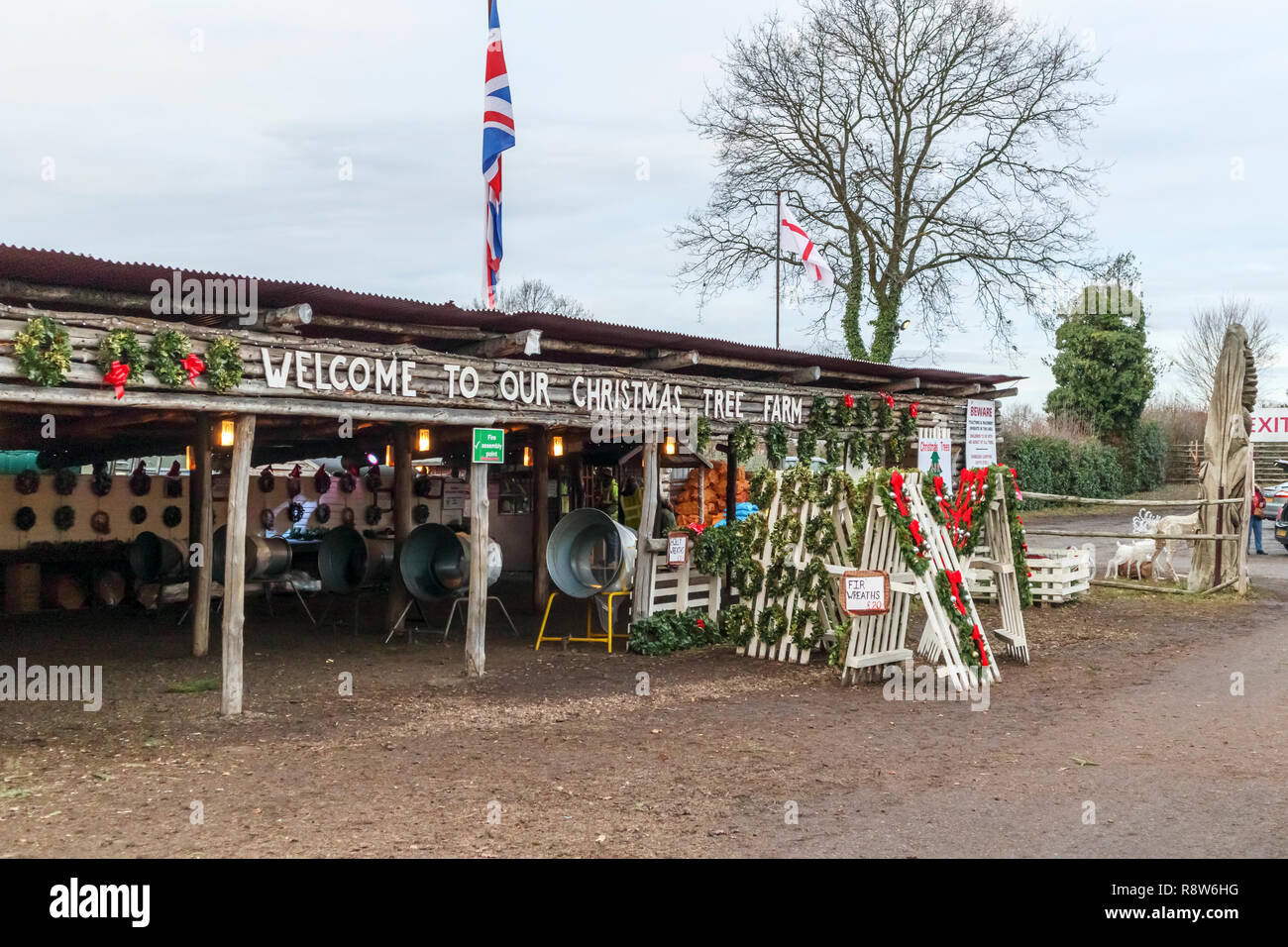 Saisonale Weihnachten festliche Jahreszeit Vorbereitungen: Christmas Tree Farm verkaufen frisches Laub Kränze und Bäume in der Nähe von Chertsey, Surrey, Südosten, England, Grossbritannien Stockfoto