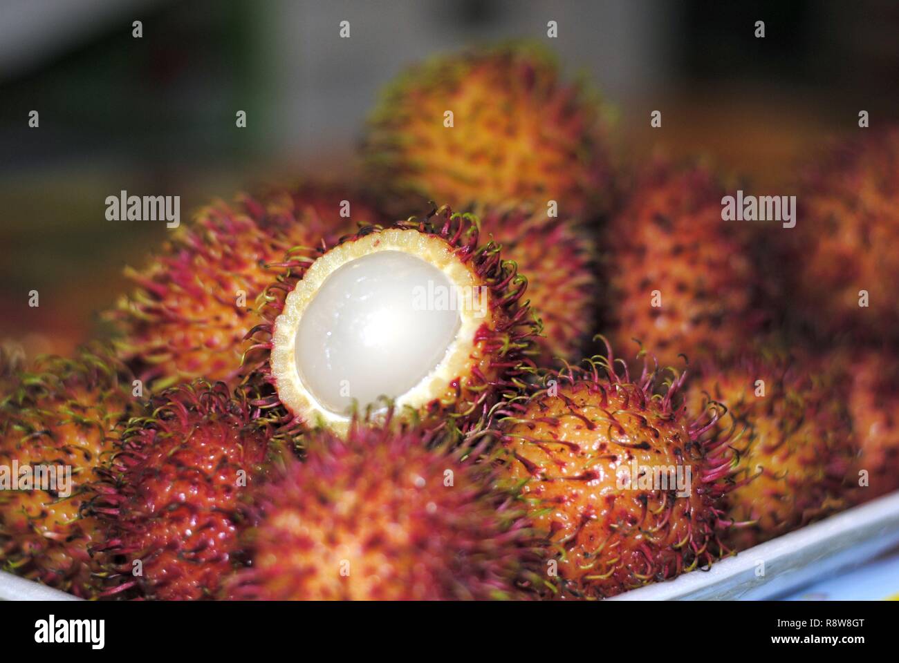 Rambutan (Nephelium Lappaceum) Stockfoto