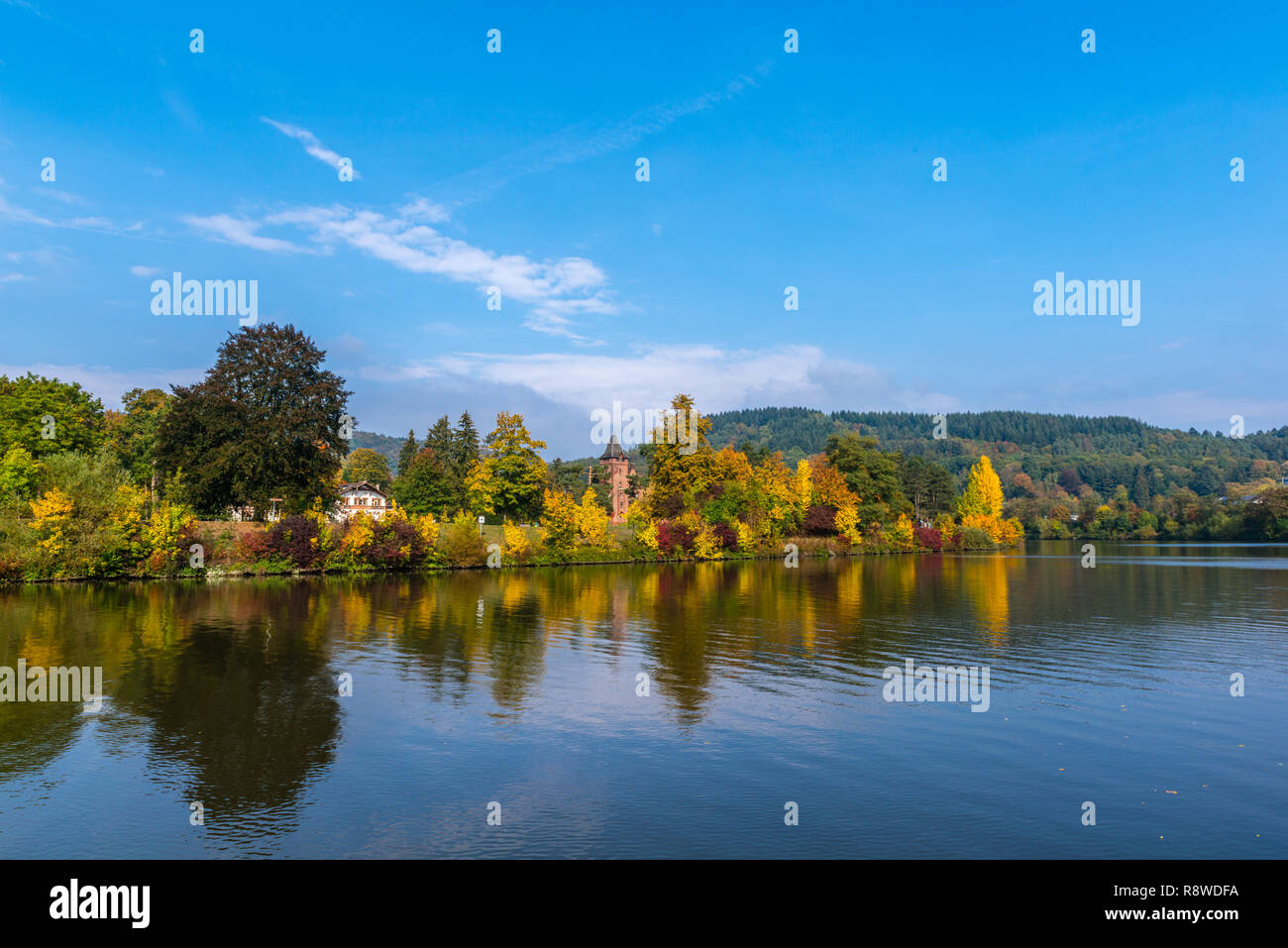 Herbst Laub entlang der Saar in Mettlach Merzig-Wadern, Saarland, Deutschland, Europa Stockfoto