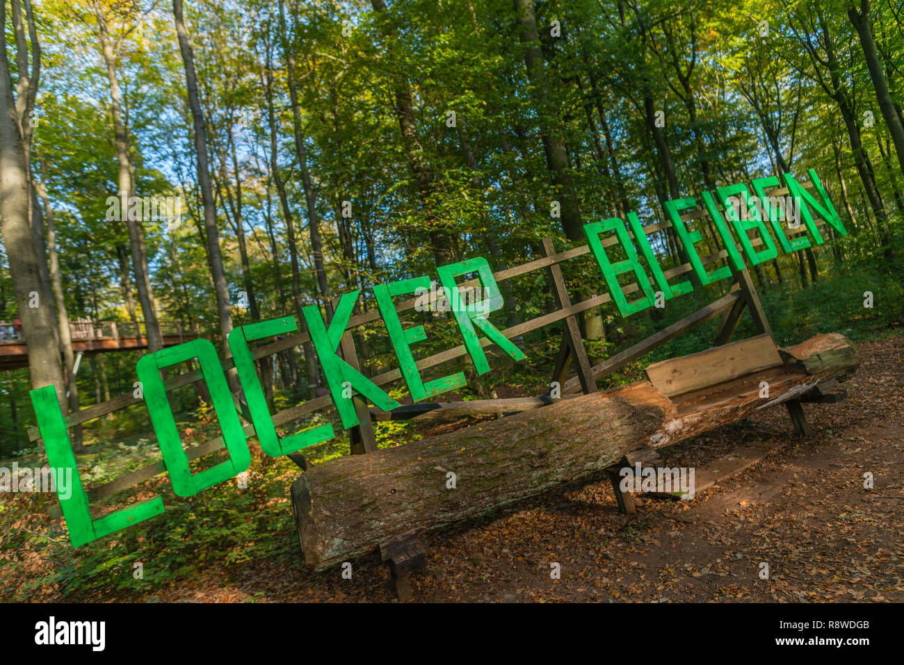 Sitzbank Meder in einem Baumstamm am Baumwipfelpfad, oder tree top Weg, Mettlach Merzig-Wadern, Saarland, Deutschland, Europa Stockfoto