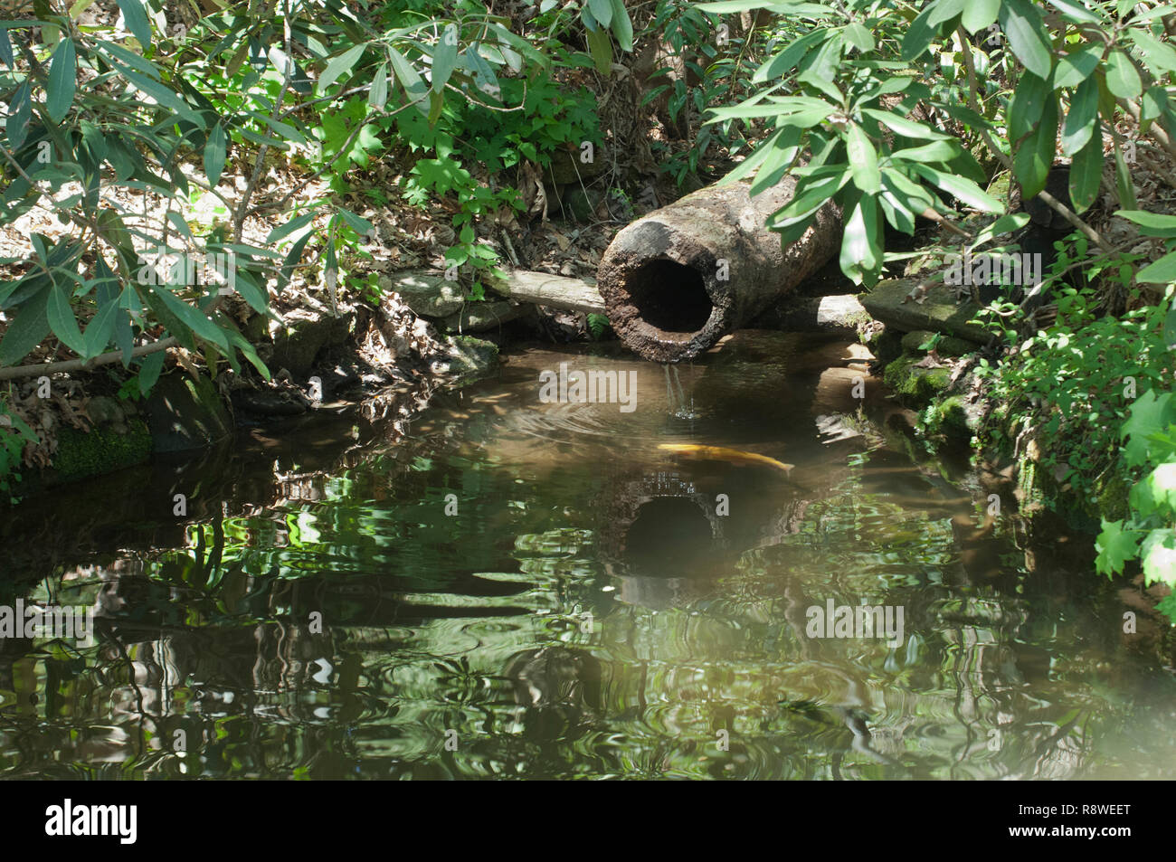 Melden Sie sich als Wasserleitung, Qualla Cherokee Reservierung, North Carolina. Digitale Fotografie Stockfoto