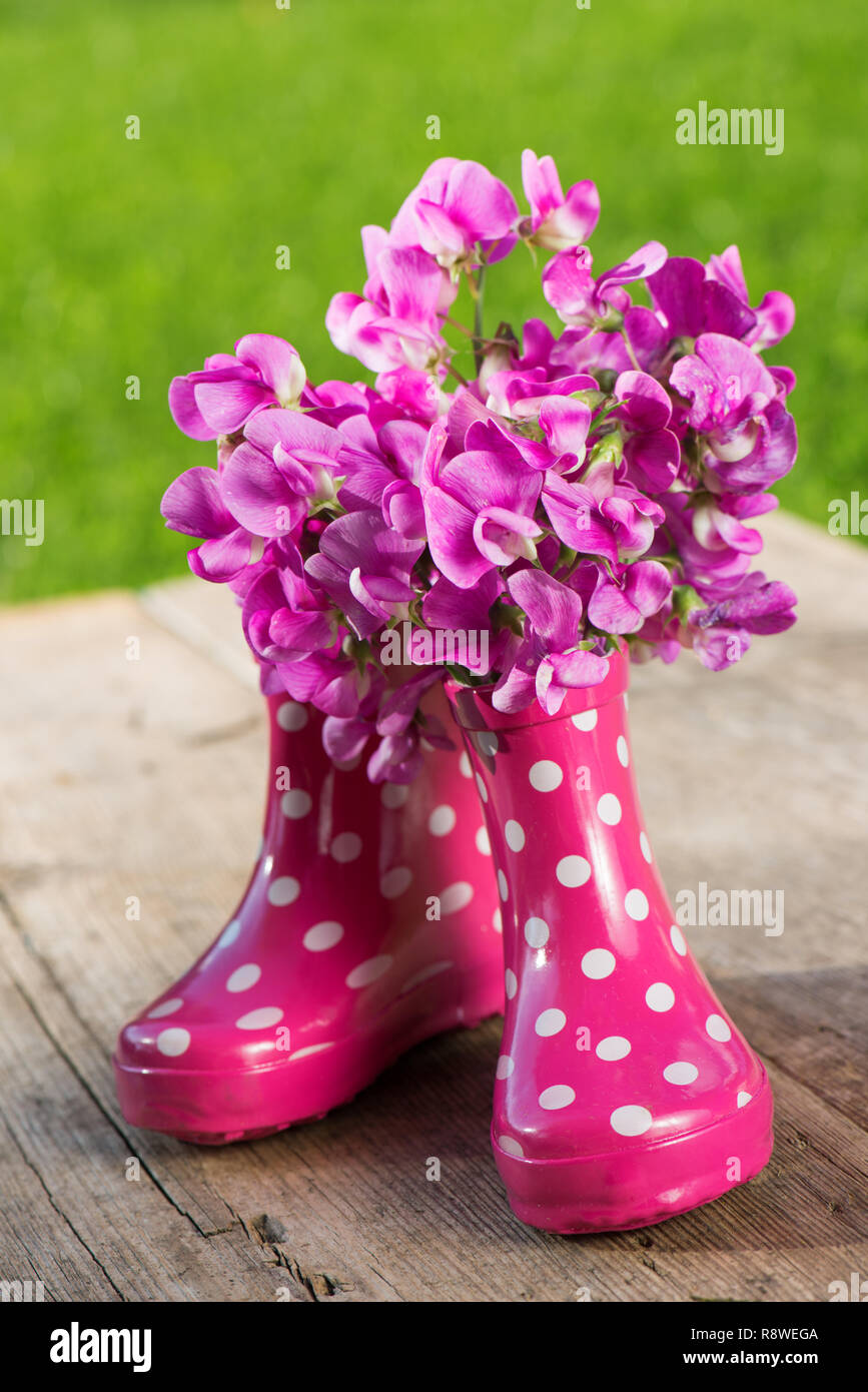Rosa Gummistiefel auf hölzernen Hintergrund Stockfoto