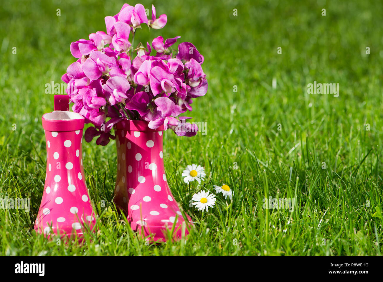 Rosa Gummistiefel in einer Wiese Stockfoto