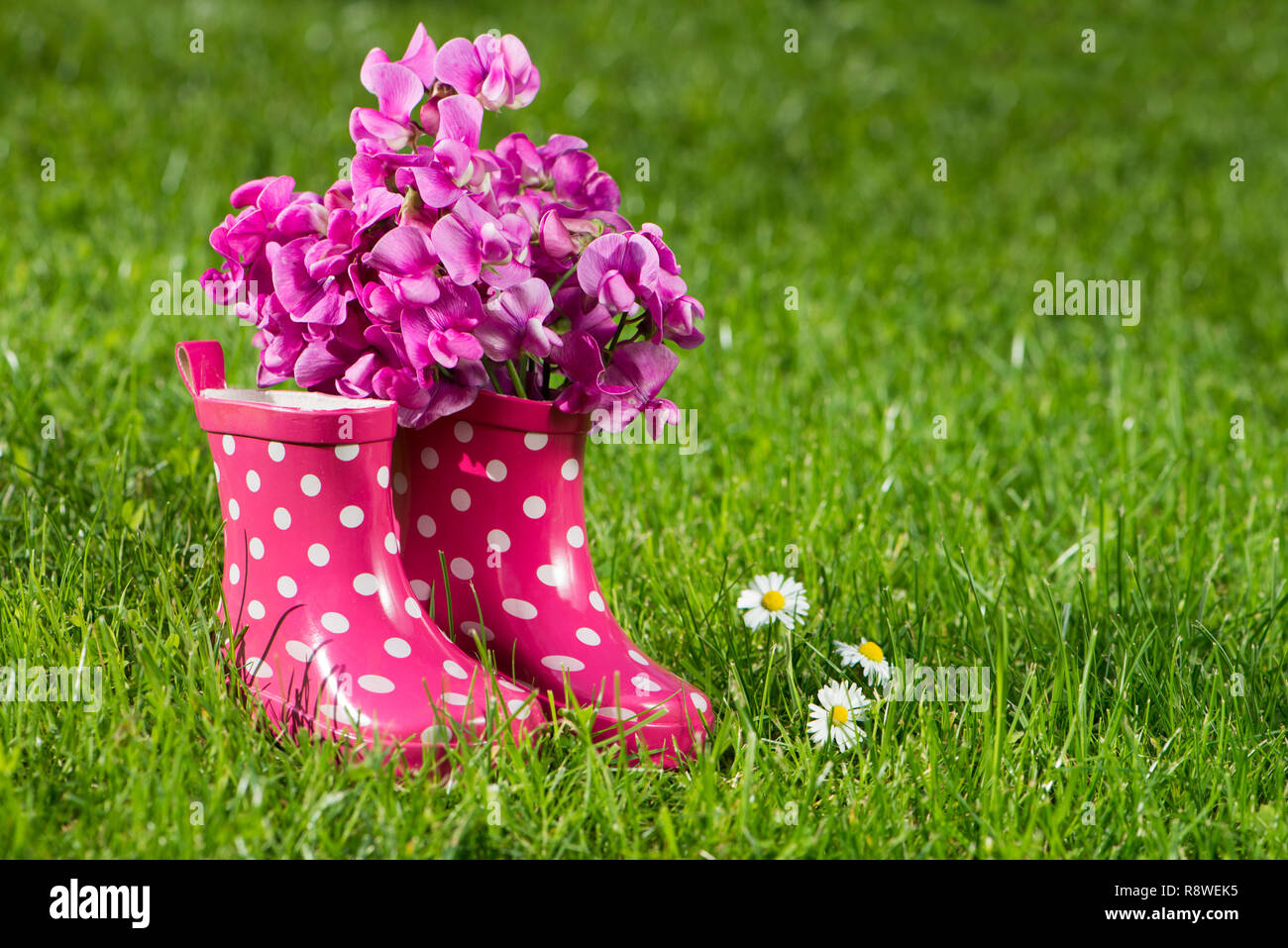 Rosa Gummistiefel in einer Wiese Stockfoto