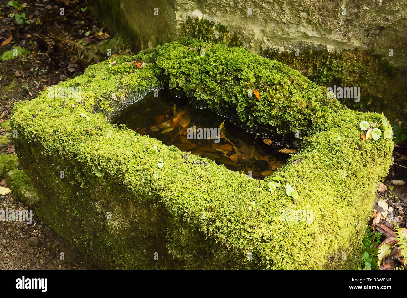 Alte moosbedeckte Granit Zinn Formen in der Nähe der Ort der ehemaligen Gruben in Cornwall. Jetzt als ein kleines Wasserspiel verwendet Stockfoto