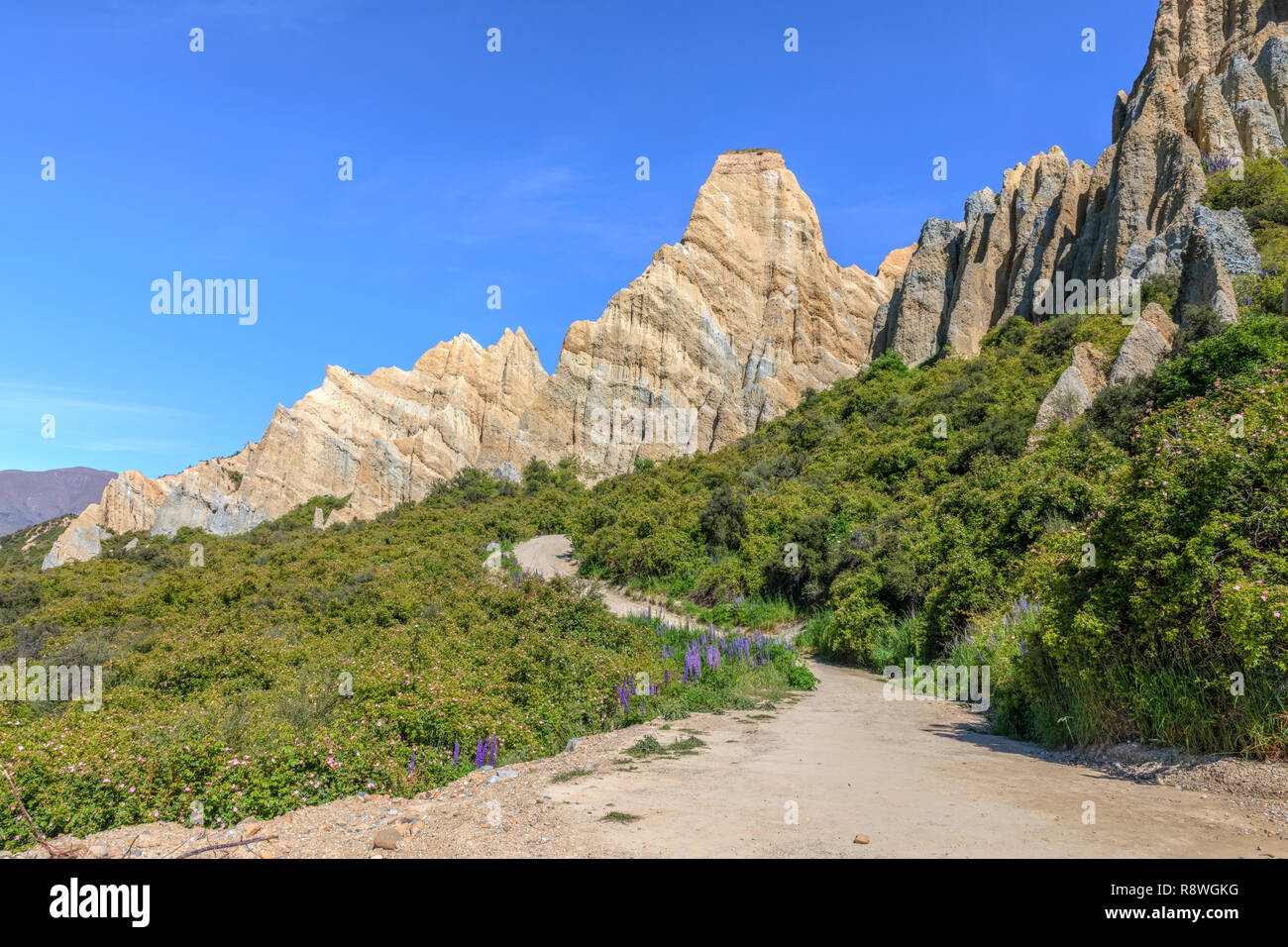 Clay Klippen, Omarama, Canterbury, Südinsel, Neuseeland Stockfoto