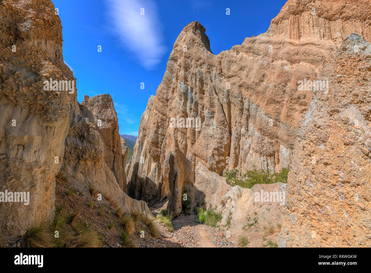 Clay Klippen, Omarama, Canterbury, Südinsel, Neuseeland Stockfoto