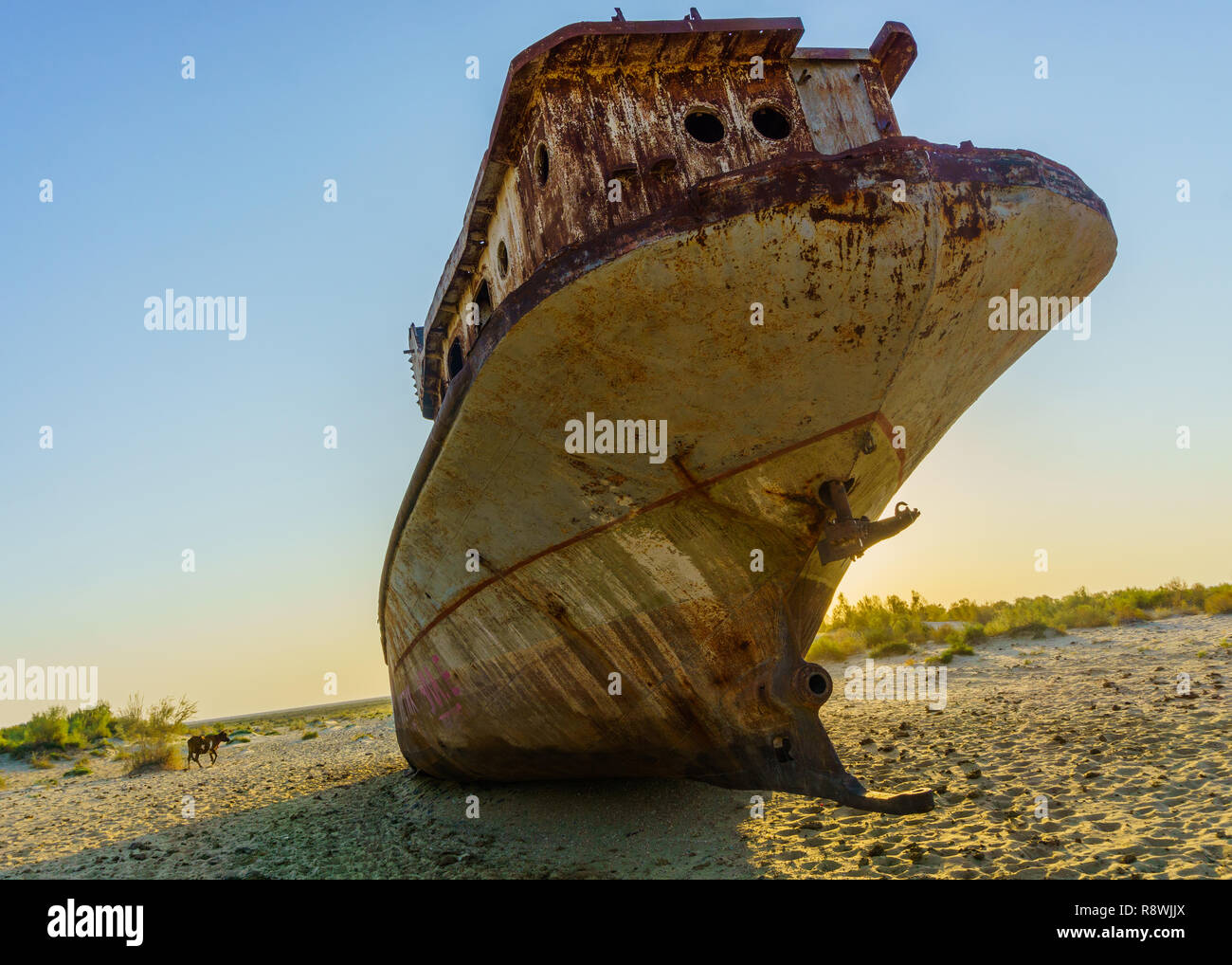 Rusty Shipwrrecks in der Wüste, wo der einstigen Aralsee war Stockfoto