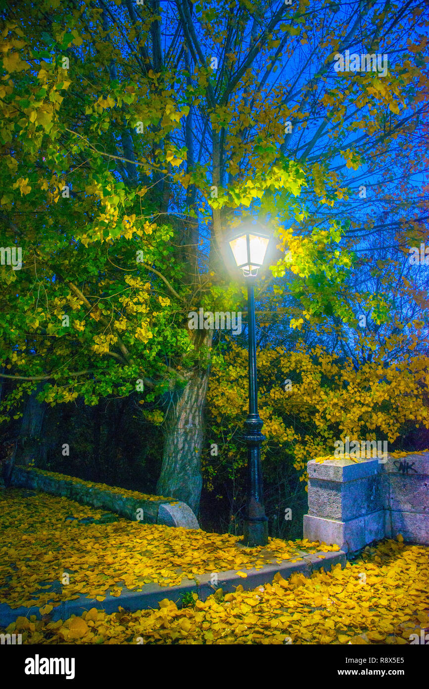 Beleuchtete Straße Licht im Herbst. Stockfoto