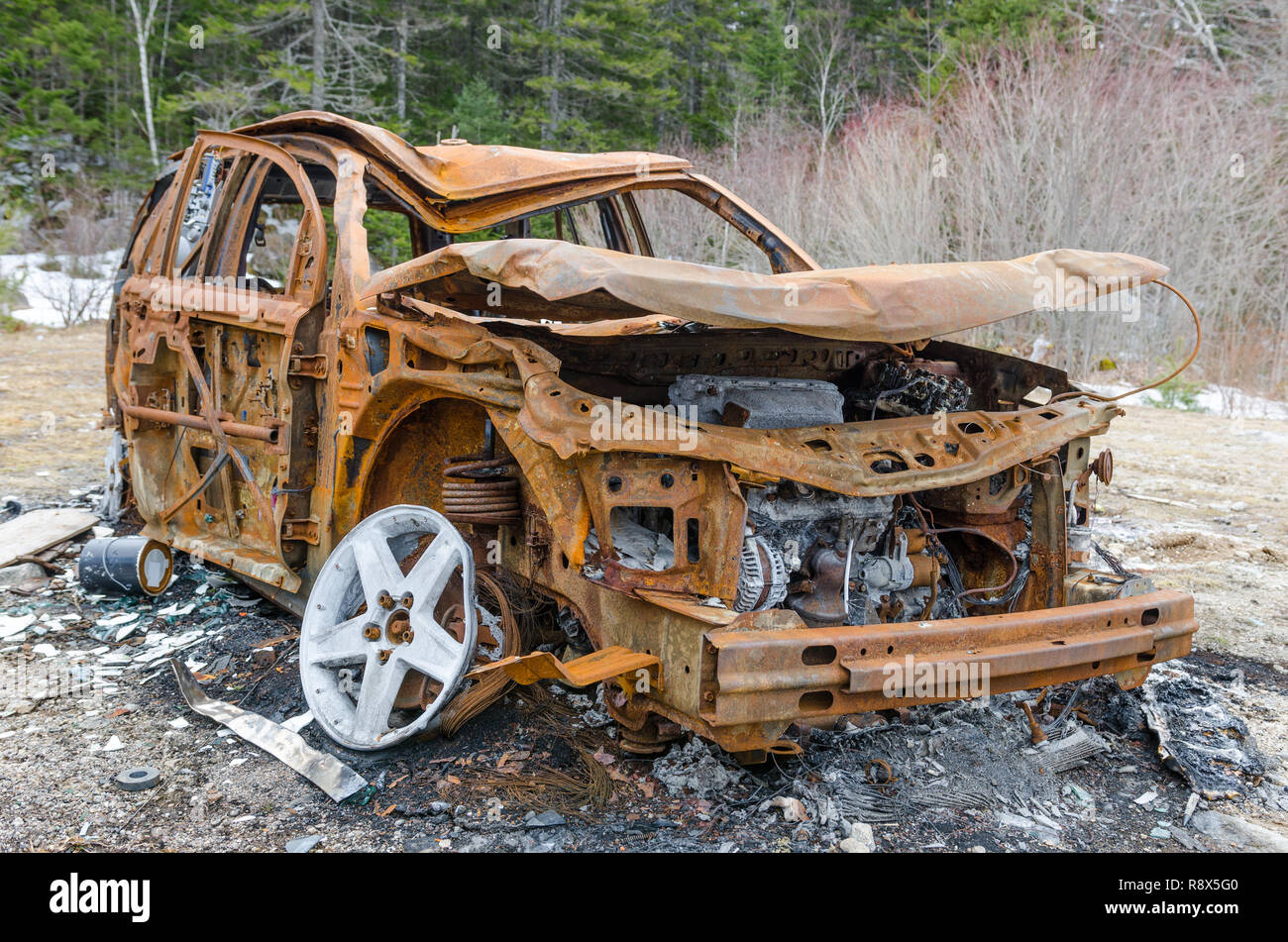 Niedergebrannt rusty Fahrzeug in den Wald mit seinen Körper verlassen wegen Brand- und Naturgewalten. Große Weise, Versicherung zu illustrieren. Stockfoto