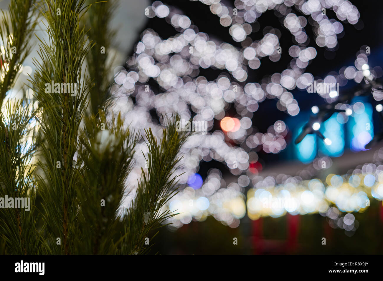 Tannenbaum Nadeln schließen oben mit bokeh Hintergrund und Kopie Raum Stockfoto