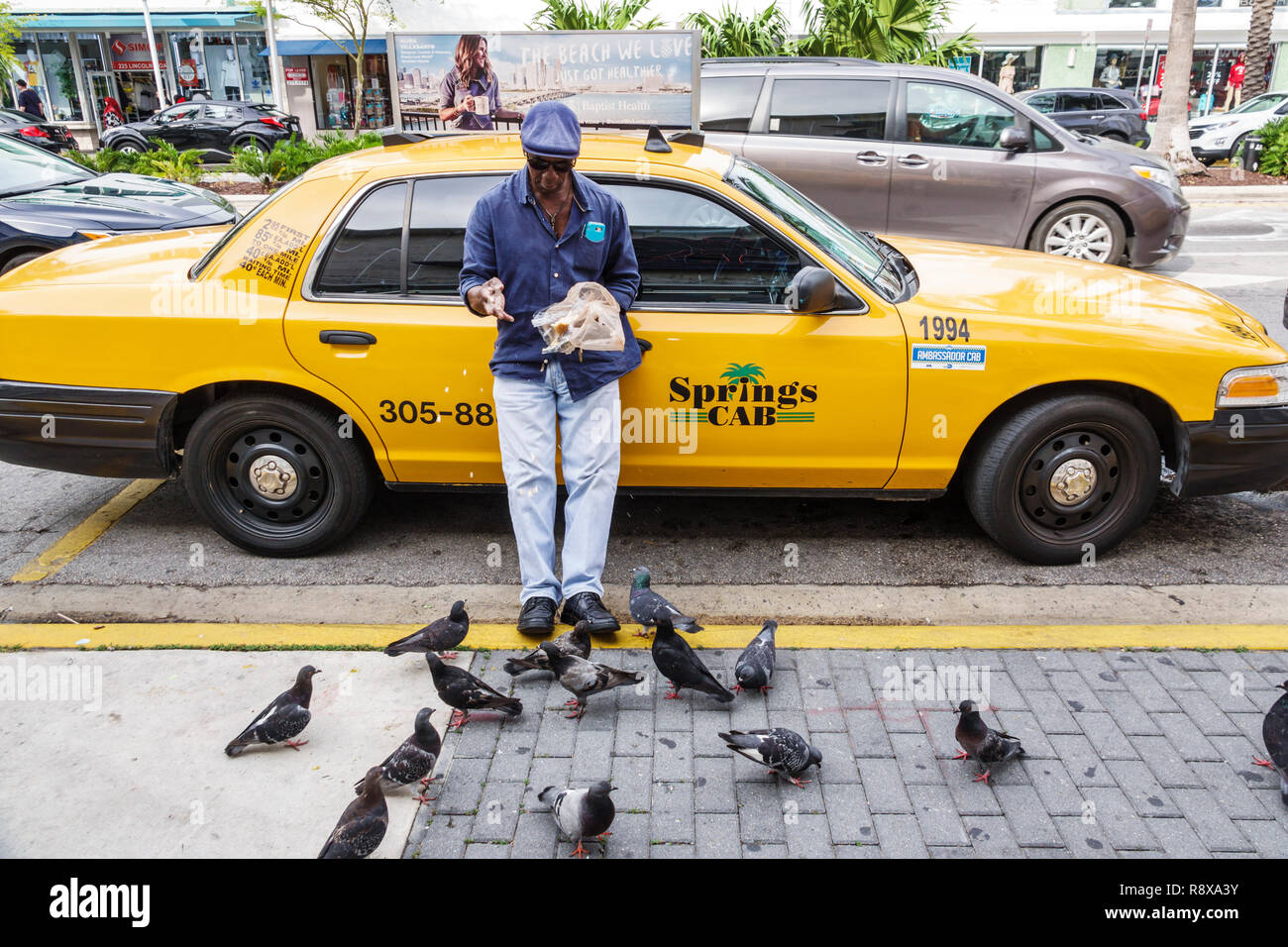 Miami Beach, Florida, schwarzer Mann, männlich, Taxifahrer, der Tauben füttert, FL181205131 Stockfoto