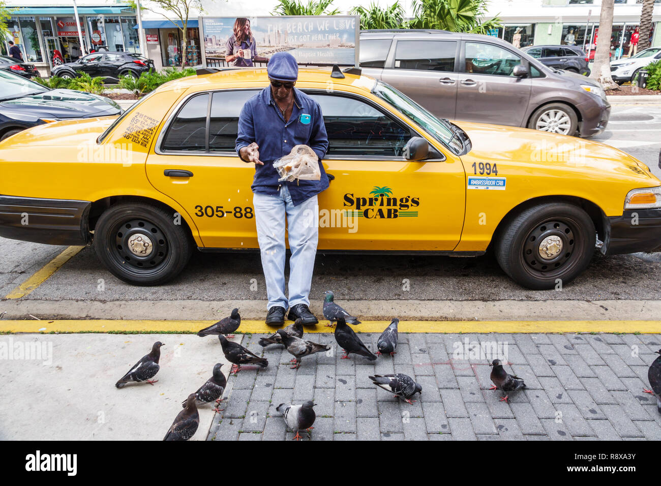 Miami Beach, Florida, schwarzer Mann, männlich, Taxifahrer, der Tauben füttert, FL181205131 Stockfoto Miami Beach, Florida, schwarzer Mann, männlich, Taxifahrer, der Tauben füttert, FL181205131 Stockfoto