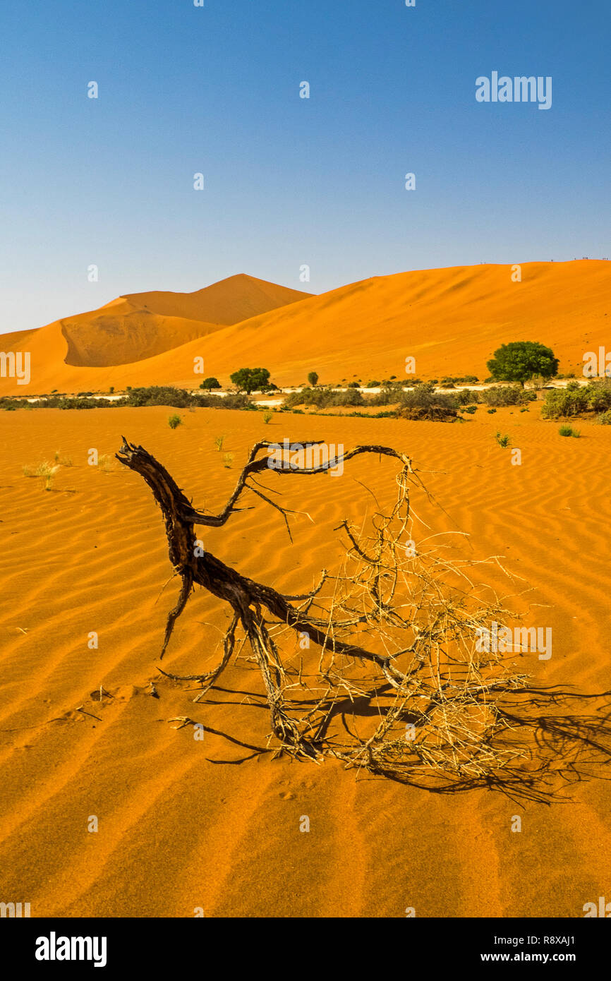 Big Daddy im Sossusvlei Nationalpark Stockfoto