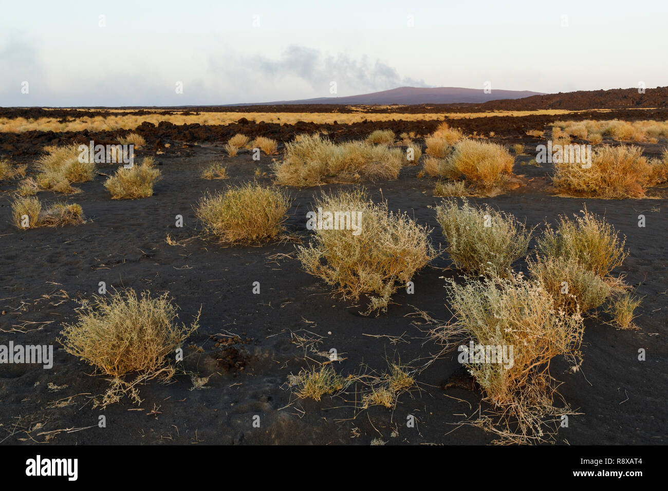 Erta Ale Vulkan in der Wüste Danakil Depression in Äthiopien. Afrika Stockfoto