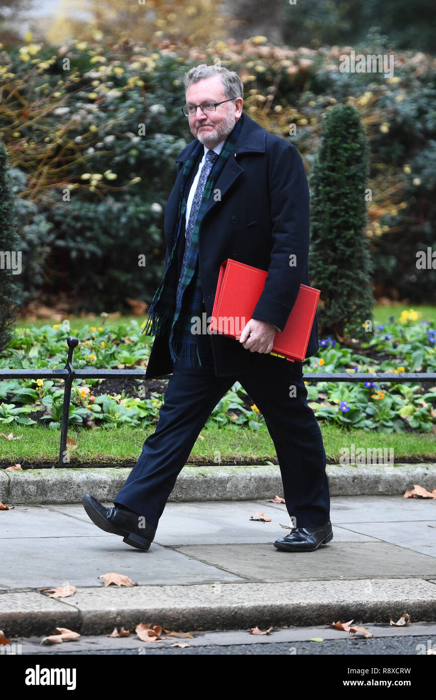 Schottische Sekretär David Mundell kommt in Downing Street, London, für eine Sitzung des Kabinetts. Stockfoto