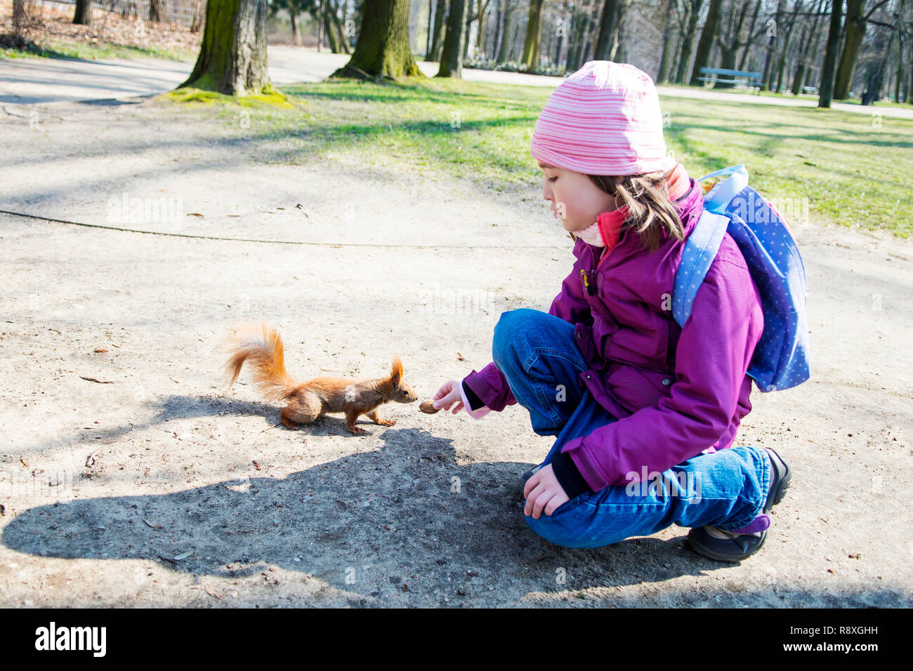Kind Mädchen feeds Eichhörnchen im Herbst Park. Stockfoto