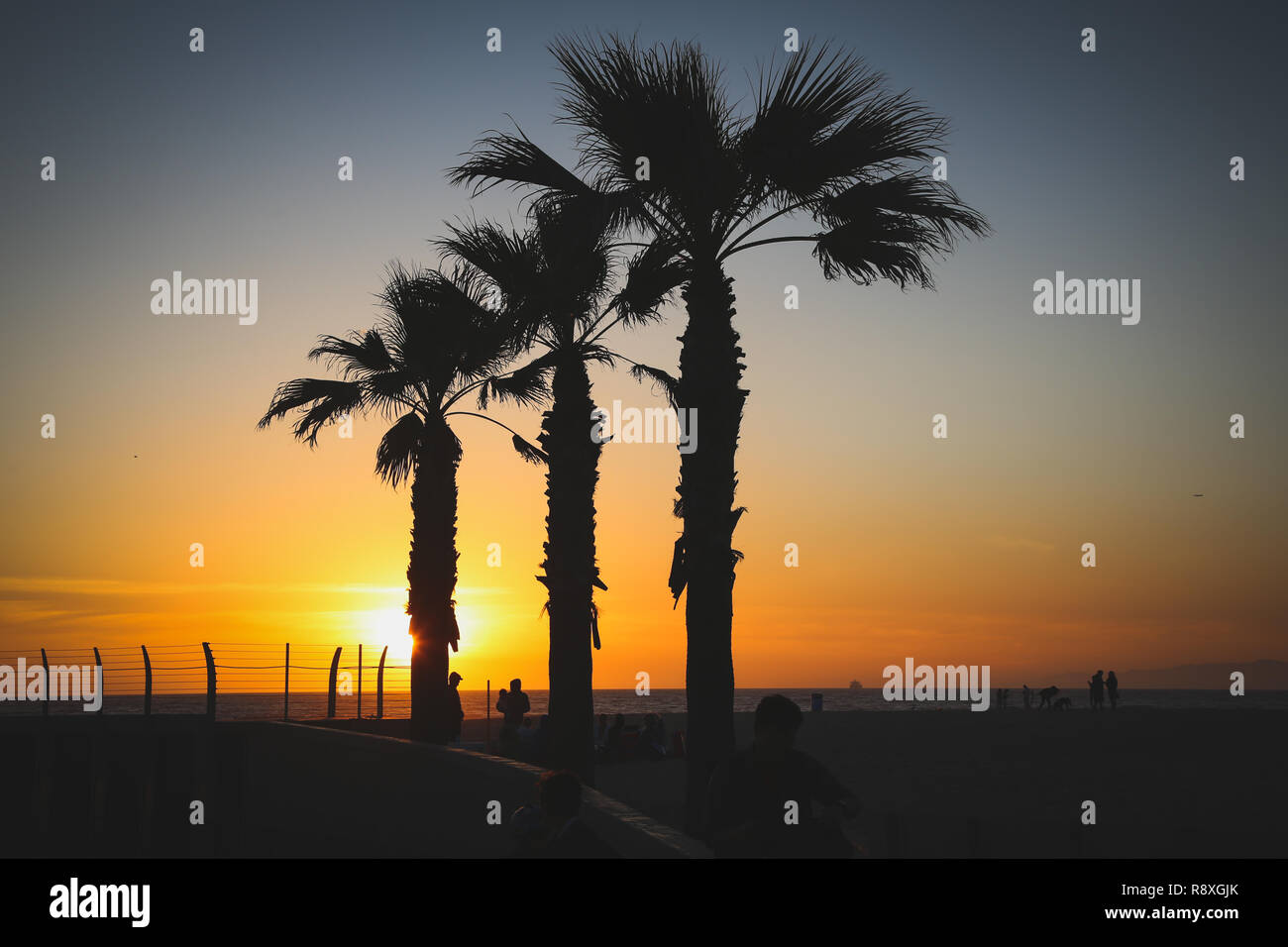 Palmen bei Sonnenuntergang in Hermosa Beach in Los Angeles, Kalifornien Stockfoto