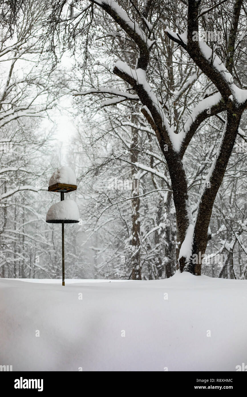 Bird Feeder mit Schnee Wintersturm Diego geladen. Stockfoto