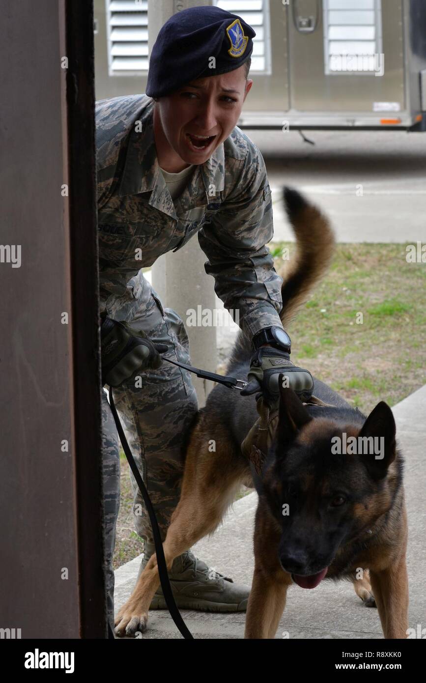 Us Air Force Senior Airman Caitlin Bourque, 39th Sicherheitskräfte Squadron Militär Hundeführer und Brix, Relais a Warnung vor dem Betreten eines Gebäudes bei der Erkennung von Ausbildung, März 2, 2017, in Incirlik in der Türkei. Die Warnung bietet Täter eine Chance zur Kapitulation vor der Strafverfolgung mit Kraft eingreift. Stockfoto