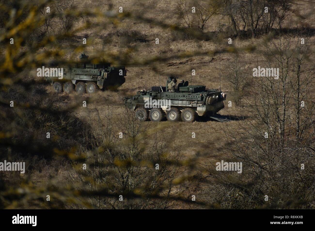 Us-Soldaten in die USA 4 Geschwader zugewiesen sind, 2.Kavallerie Regiments, im Interim Armored Vehicle-Strykers, Durchführung zone Feind recon ein Teil einer Ausbildung Szenario beim Joint Multinational Readiness Center in Hohenfels, Deutschland, 12. März 2017 montiert. Usa und Großbritannien Truppen nahmen an einer Validierung Übung leader Kenntnisse zu testen, Kommunikation Interoperabilität und die Koordinierung mit benachbarten Anlagen. Stockfoto