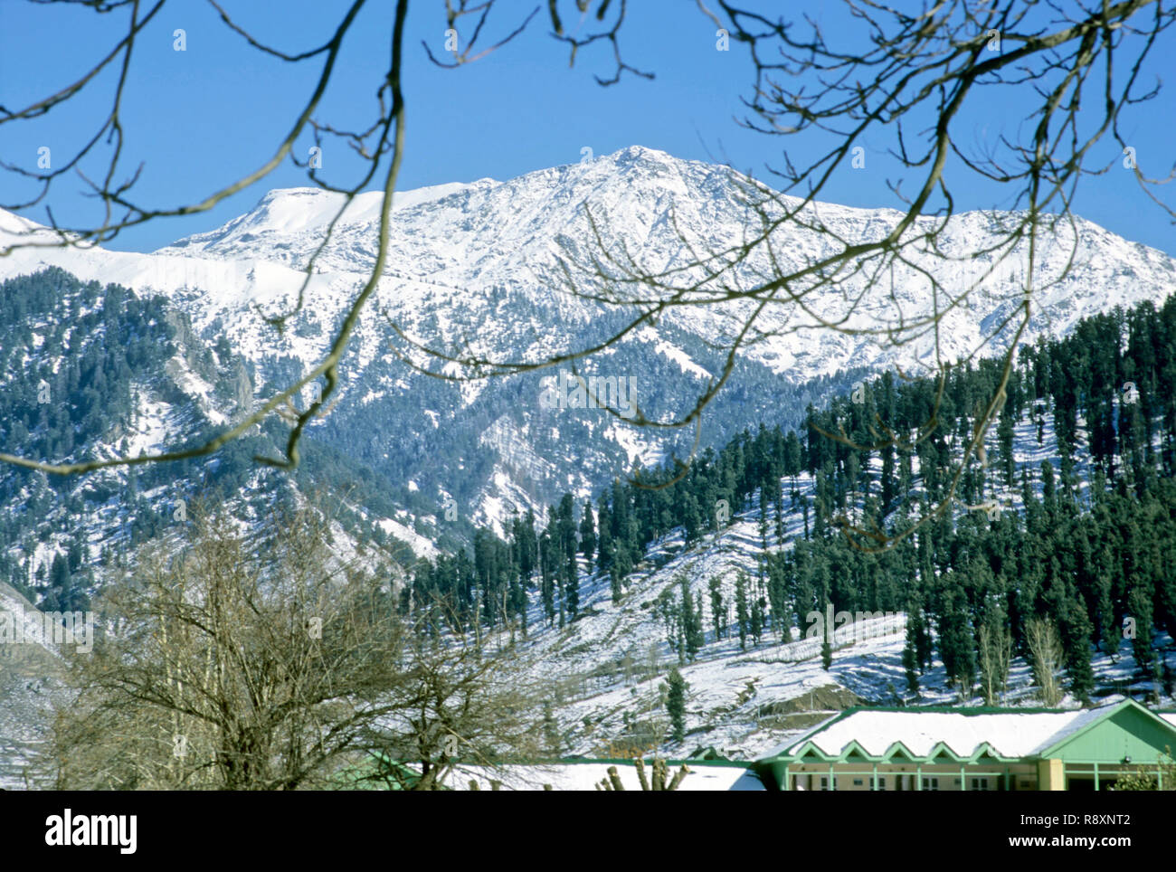 Schneebedeckten gipfeln in Pahalgam, Jammu und Kaschmir, Indien Stockfoto