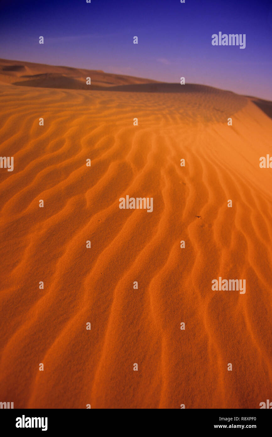Sanddünen in Jaisalmer, Rajasthan, Indien Stockfoto
