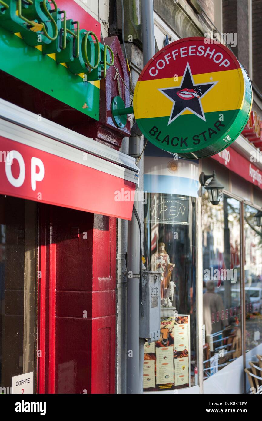 Niederlande, Amsterdam, Jordaan, der Black Star Coffee Shop Stockfoto