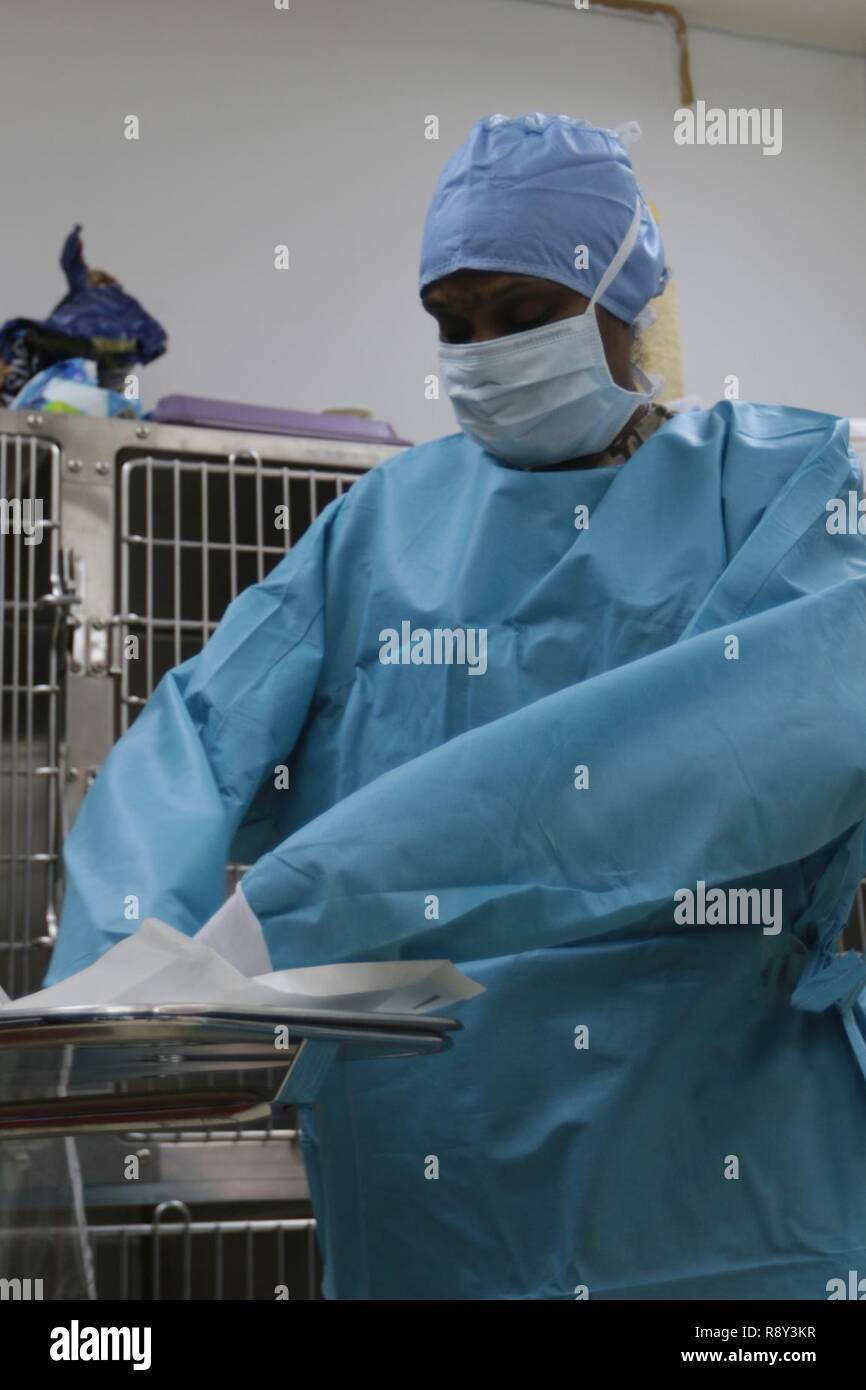 Kapitän Janas Grau, der verantwortliche Offizier der Zentrale und Sitz der Gesellschaft, den Area Support Group-Kuwait Veterinärbehörden bereitet sich für Chirurgie eine Katze, die in für die Trap Neutrum Release Programm Impfen im Camp Arifjan, Kuwait, 24.02.2017, brachte, war zu kastrieren. Stockfoto