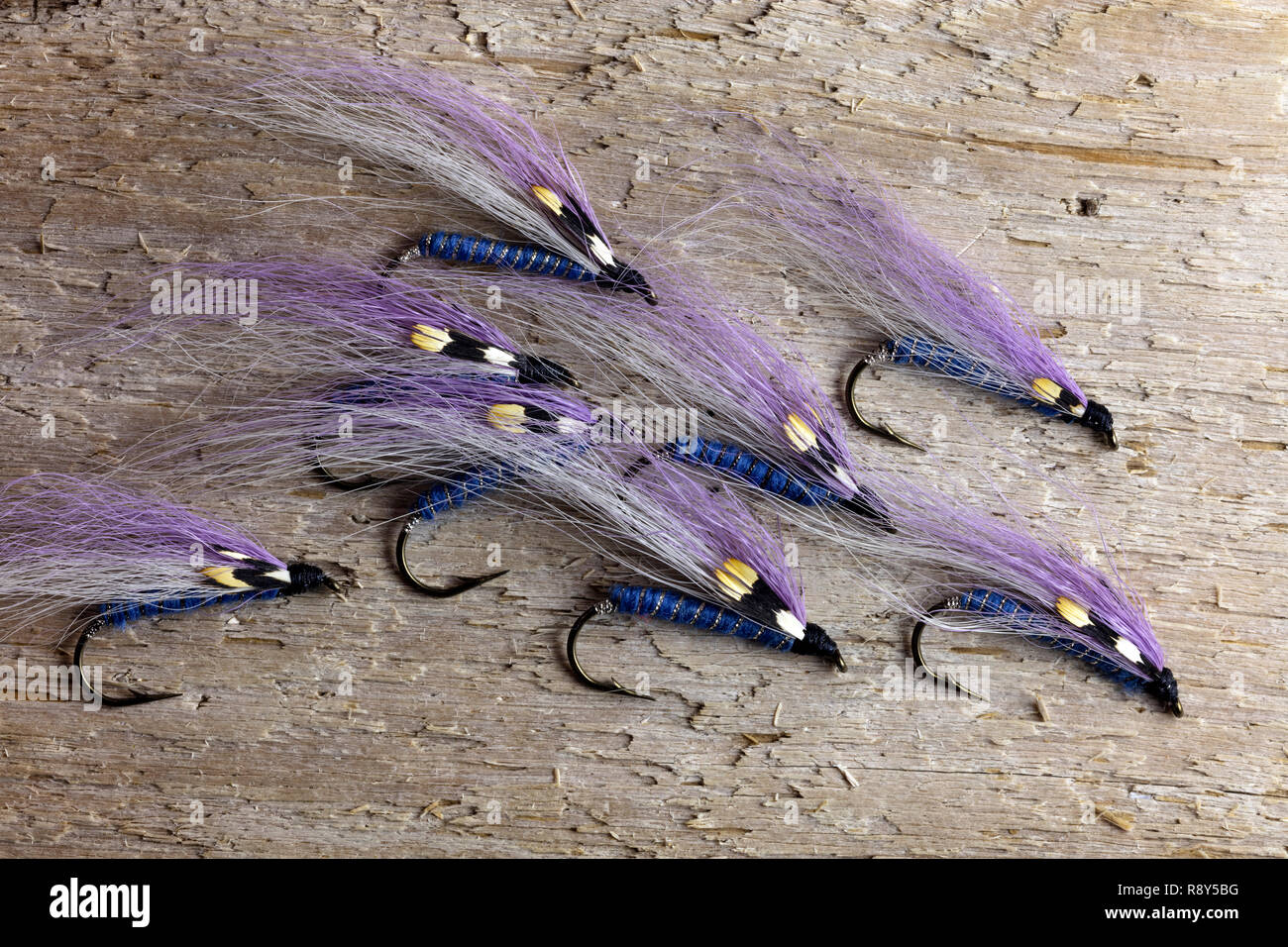 Hand gebunden Streamer fliegen, Forellen angeln Fliegen, von James D. Coppinger/Dembinsky Foto Assoc Stockfoto
