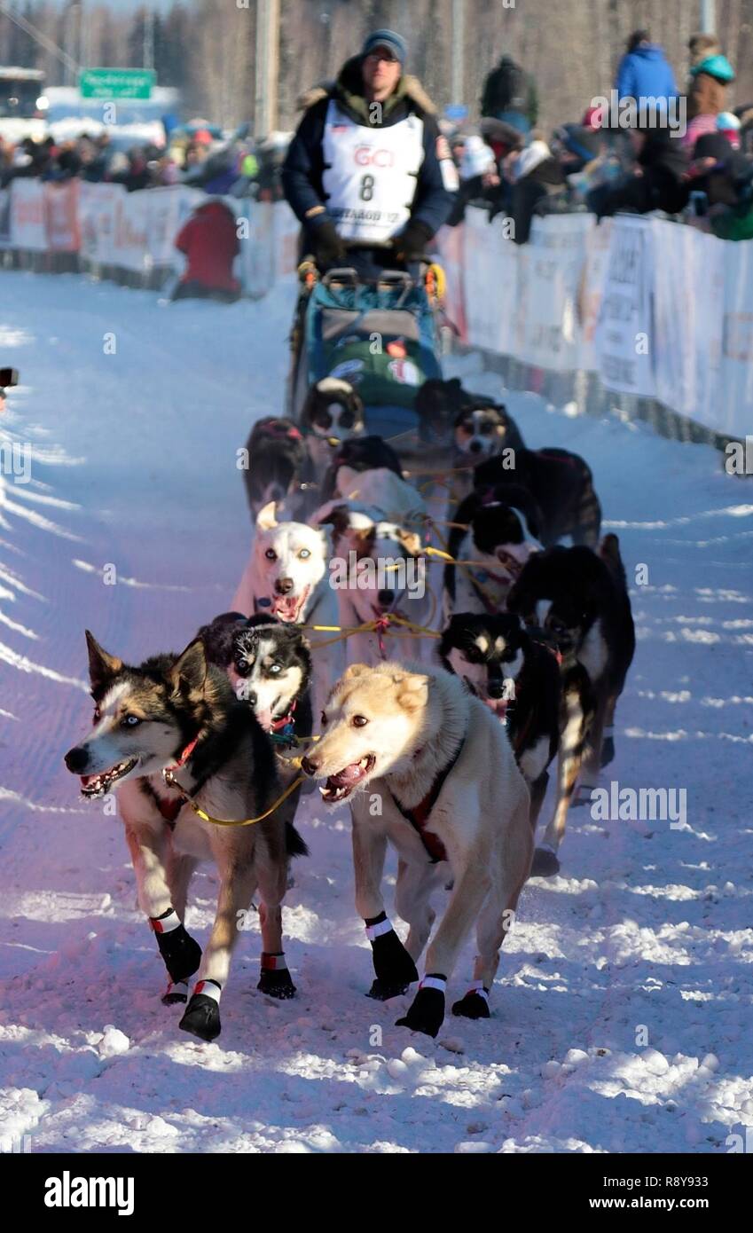 Die Leitung Hunde von 2017 Iditarod Trail Sled Dog Race musher Ryan Anderson von Ray, Minn., waren alle Lächeln, als sie von der offiziellen zeitgesteuerten Start der 45. jährliche Veranstaltung 6. März in Fairbanks, Alaska. Die "LETZTE GROSSE RENNEN" lockte rund 73 Konkurrenten aus der ganzen Welt, von Alaska, die unteren 48, Schweden, Kanada, Norwegen, Ungarn, der Tschechischen Republik, England und Frankreich zu gehören. Stockfoto