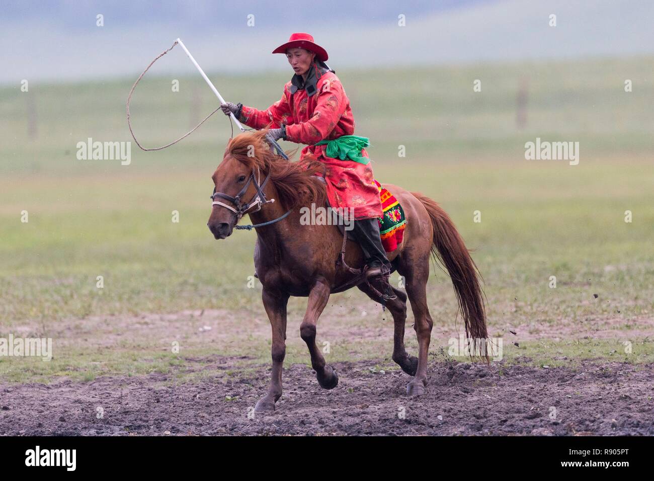 China, Innere Mongolei, Provinz Hebei, Zhangjiakou, Bashang Grünland, mongolischen Mann traditionnaly auf einem Pferd gekleidet, traditionelle Ausübung der Adresse, Stockfoto