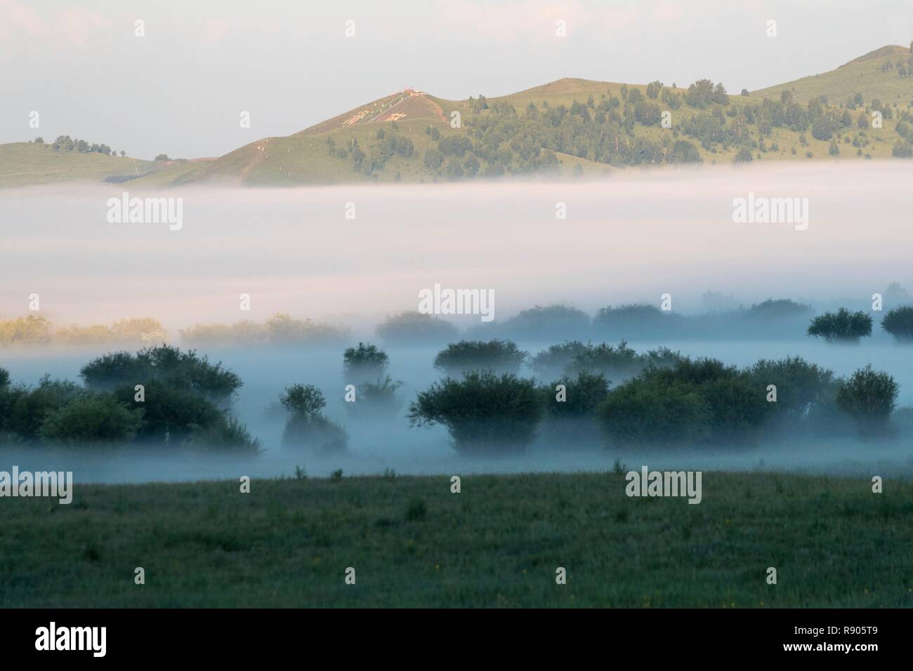 China, Innere Mongolei, Provinz Hebei, Zhangjiakou, Bashang Grasland, Colline Landschaft Stockfoto