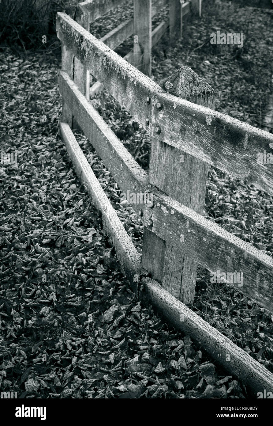 Holz- und verwitterten Zaun Stockfoto