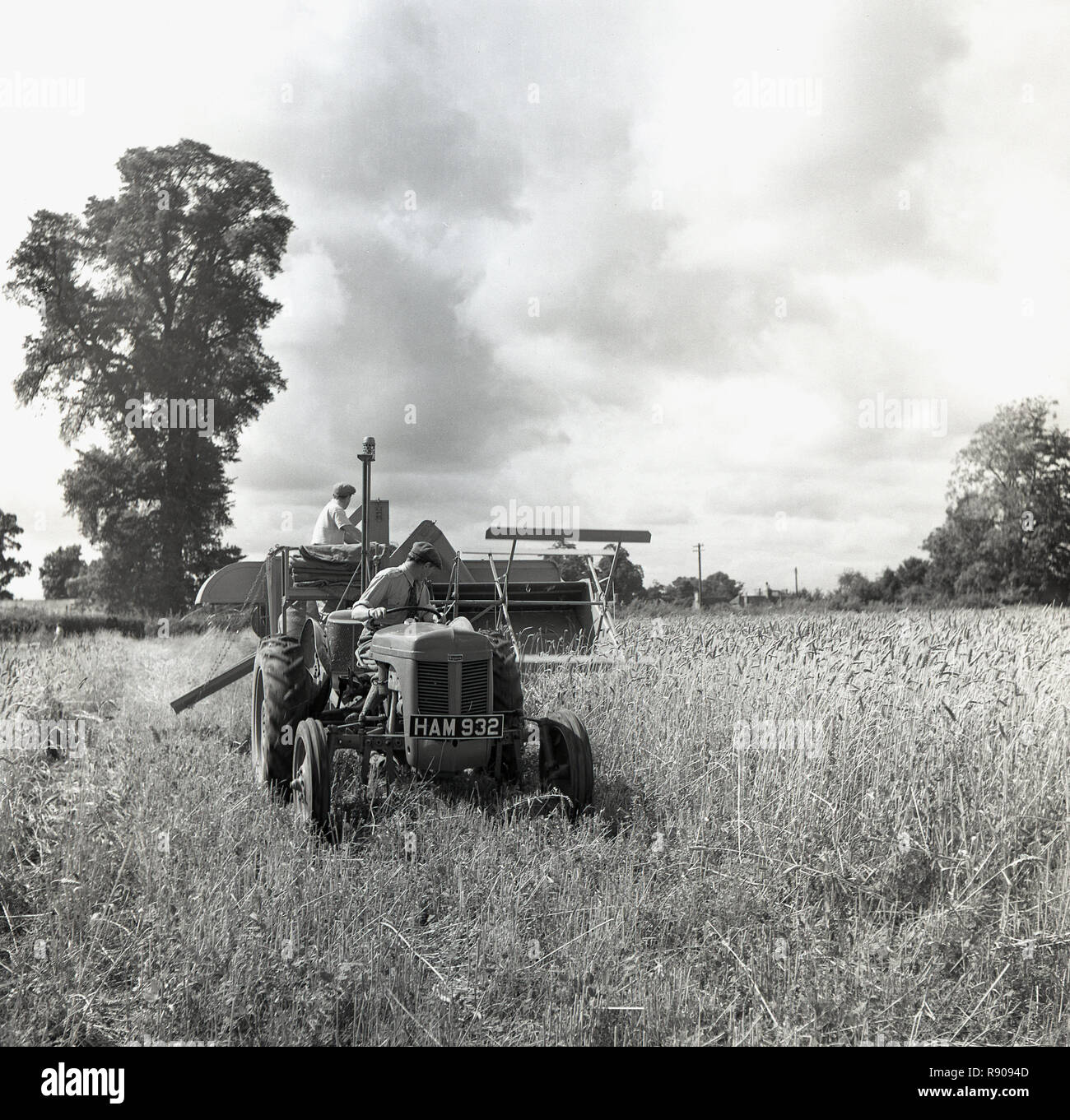 1950, historische, in einem Feld von Weizen, einen Bauern auf einem Traktor ziehen einer Erntemaschine, England, UK. Stockfoto