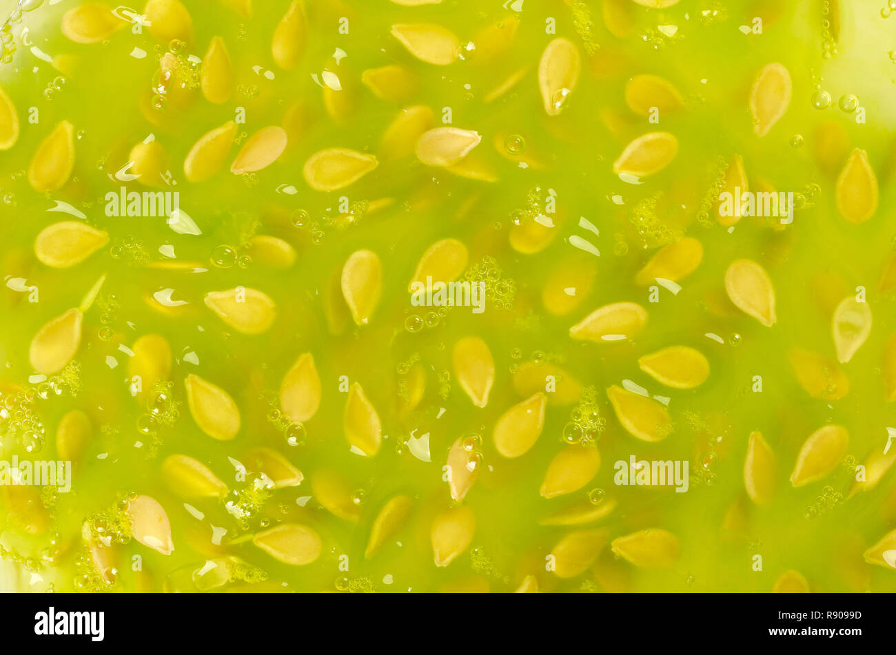 Kiwano Zellstoff Oberfläche. Fleisch von gehörnten Melone, in der Nähe und Hintergrund. Lime Green, Geleeartige Fleisch von Afrikanischen gehörnten Gurke, Jelly Melone. Stockfoto