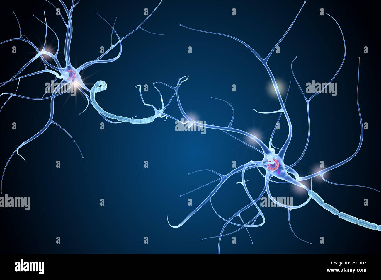 Nervenzelle Anatomie in Details. 3D-Darstellung Stockfoto