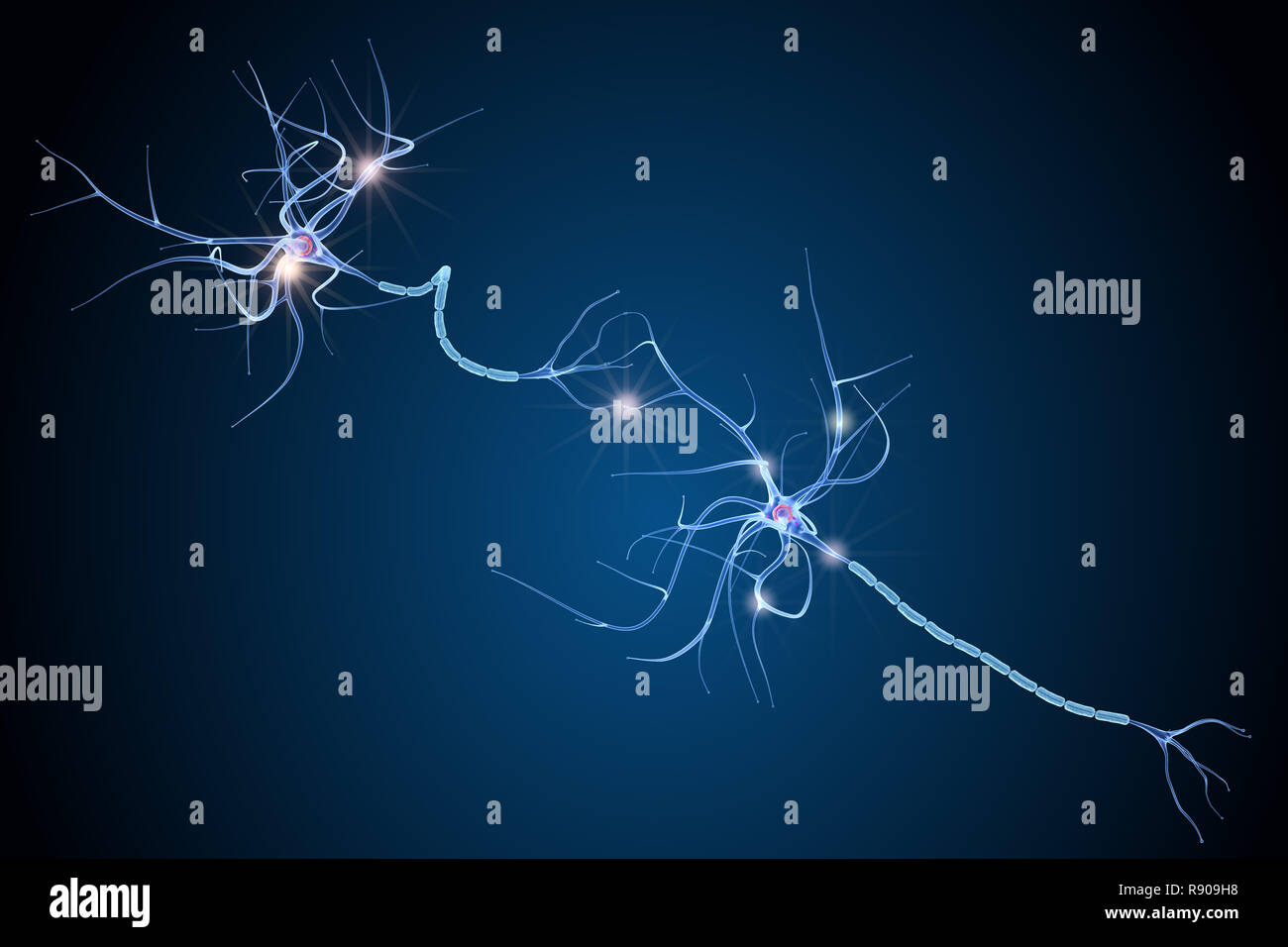 Nervenzelle Anatomie in Details. 3D-Darstellung Stockfoto