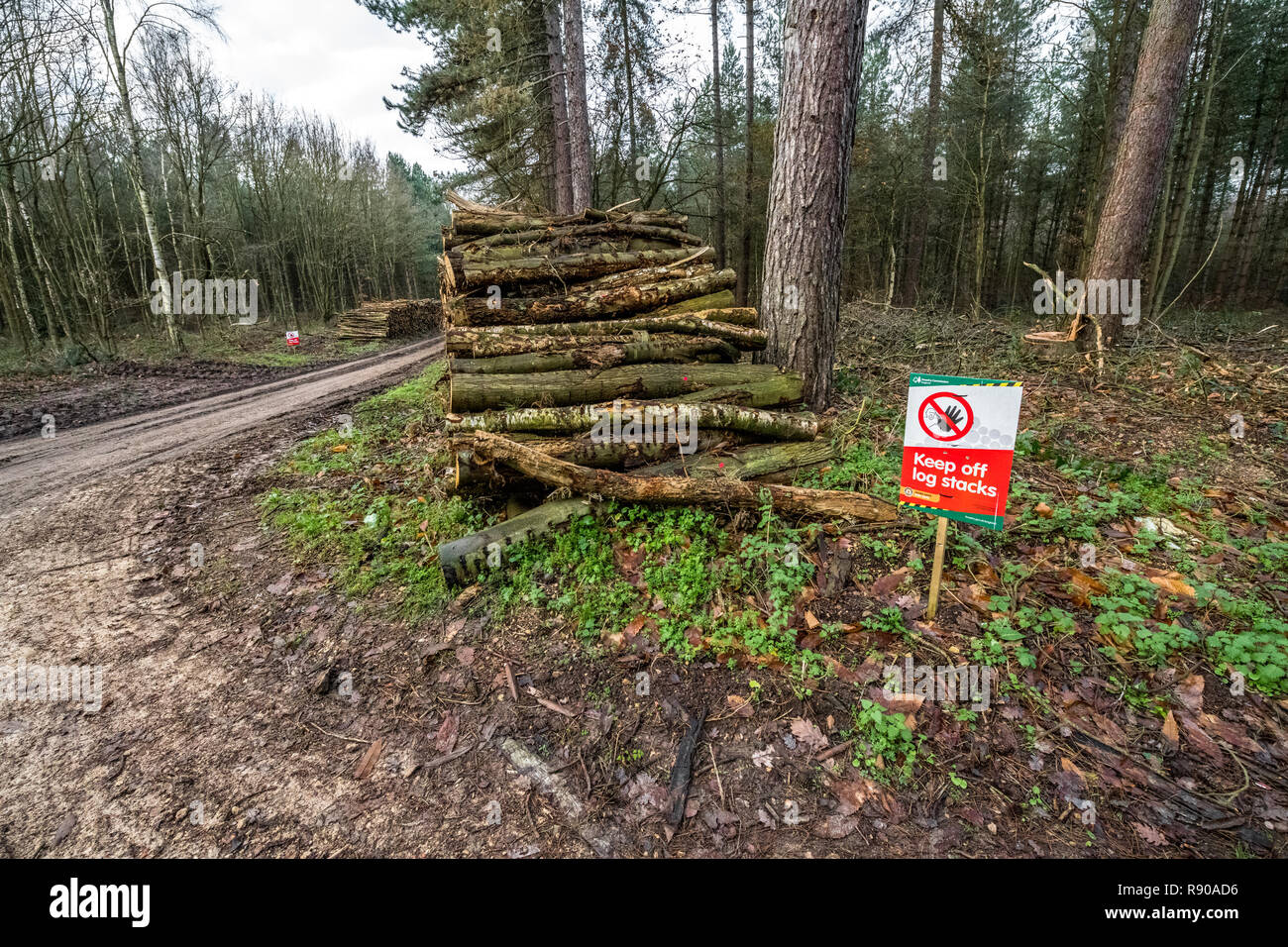 Forstwirtschaft Kommission Gesundheit und Sicherheit Zeichen 'Keep off Log Stacks". Stockfoto
