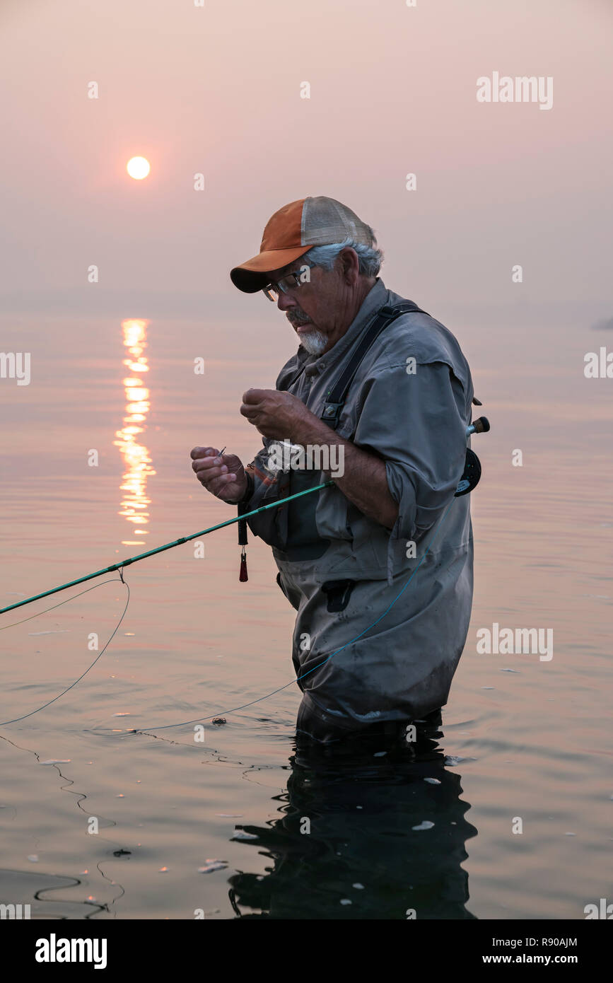 Mann binden einer Fliege auf seiner Fly fishing Line, während die Fischerei auf Lachs und searun cutthroat Trout in Puget Soud in der Nähe von Port Orchard, Washington USA. Stockfoto