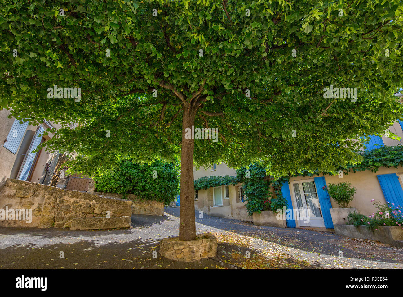 In Lourmarin, Provence, Luberon, Vaucluse, Frankreich - Mai 30, 2017: Wunderschöne Linde auf einem kleinen Platz in Lourmarin Stockfoto