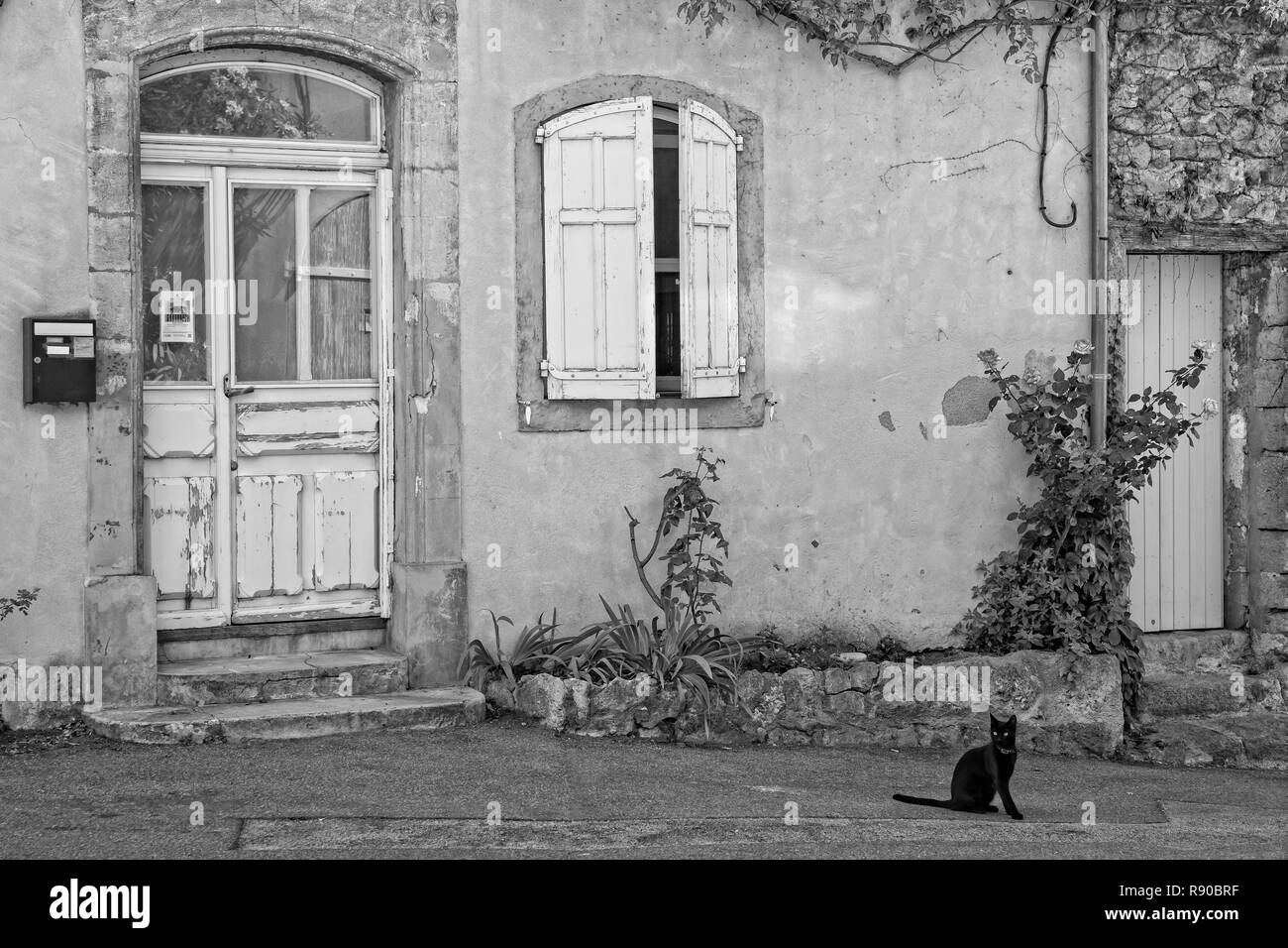 In Lourmarin, Provence, Frankreich - Mai 30, 2017: eine schwarze Katze vor einem typischen Haus in einer engen Straße in Lourmarin, Provence, Vaucluse Stockfoto