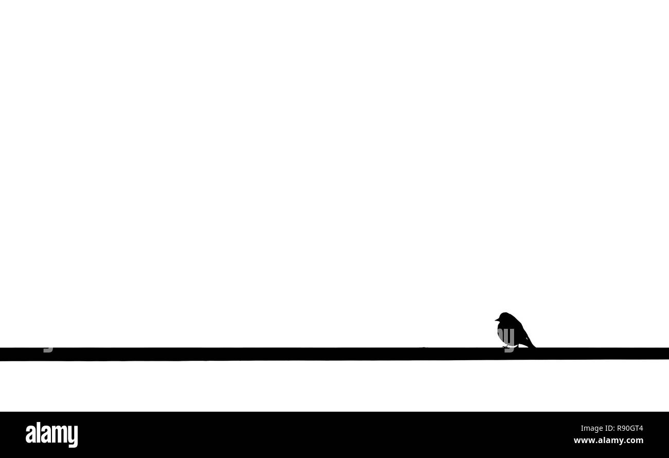 Kleiner Vogel über Kabel und weißem Hintergrund Stockfoto