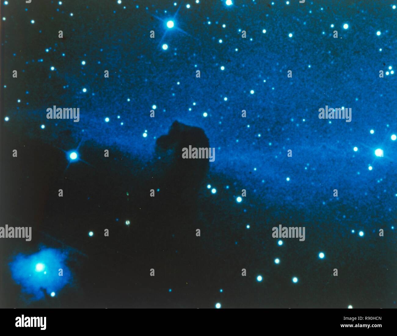 Pferdekopfnebel im Sternbild Orion. Schöpfer: NASA. Stockfoto